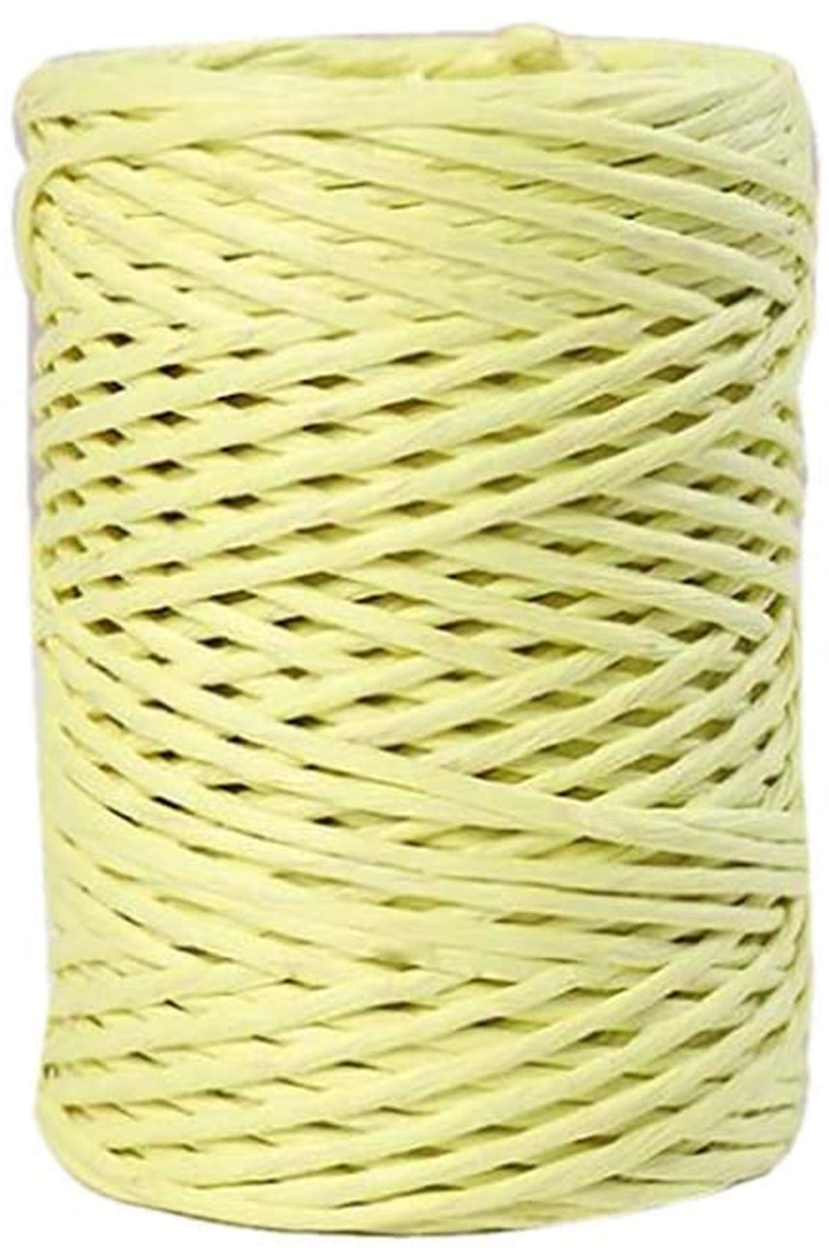 2mm Dia 164ft Lemon Green Wire Paper Vine Bind Wire Twine Paper Twine for Flower Bouquets Gardening Paper Wrapped Wire Winded DIY Project