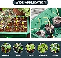 Vista 4 de Bandeja de inicio de plántulas, 6 paquetes de bandeja de inicio de semillas con luz de crecimiento, kit de bandejas de inicio de semillas