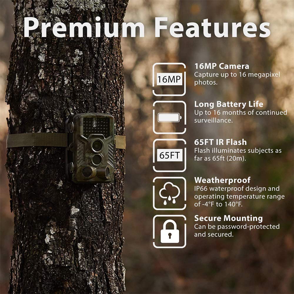 BraveKing Wildkamera 16MP 1080P Jagdkamera Nachtsicht 82ft/25M 0,2s Bewegungsmelder 120° Weitwinkel 2.4" LCD Display IP66 Wasserdicht IR Überwachungskamera mit Solarpanel und 32G Speicherkarte