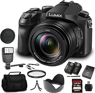 Panasonic Lumix DMC-FZ2500 Digital Camera (DMC-FZ2500) - Bundle - with 128GB Memory Card + DMW-BLC12 Battery + Digital Fla...