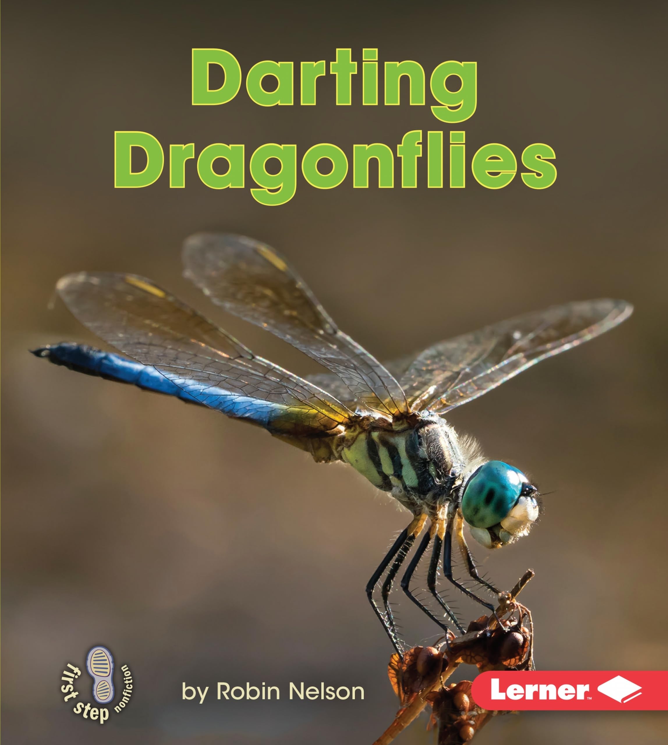 Buy Darting Dragonflies (First Step Nonfiction: Backyard Critters) — BookShops.in