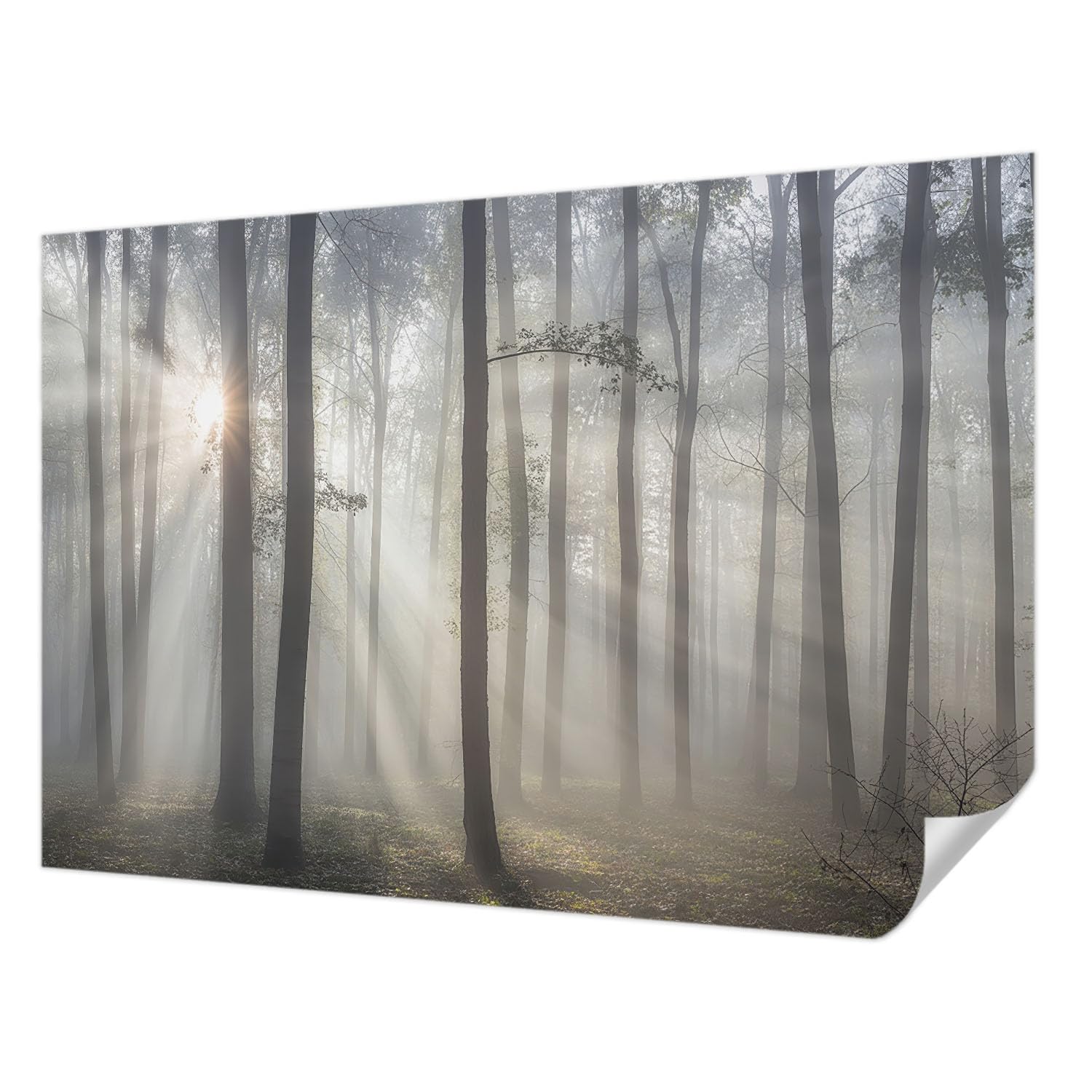 Papier Peint Adhésif pour Chambre et Salon Tulup Forêt Éthérée