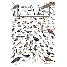 Earth Sky + Water - Peterson's Backyard Birds of Northern California - Poster 19 X 27