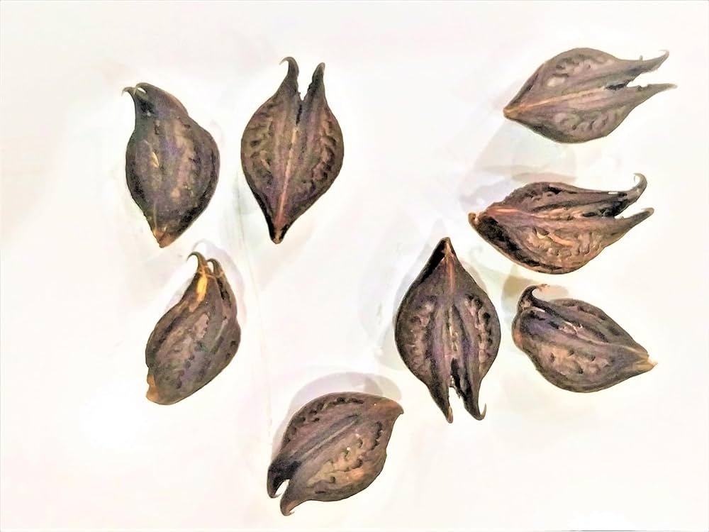 Men hammomga koz yugurtirishni va chayqalishni yaxshi koraman. BDSM bekasi Belarus