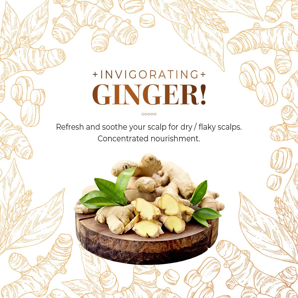 CP-1 Ginger Purifying Conditioner, Repair damaged hair, Scalp care, Recovery Strengthen care, 500 ml, 500 ml (Pack of 1) - Image 3