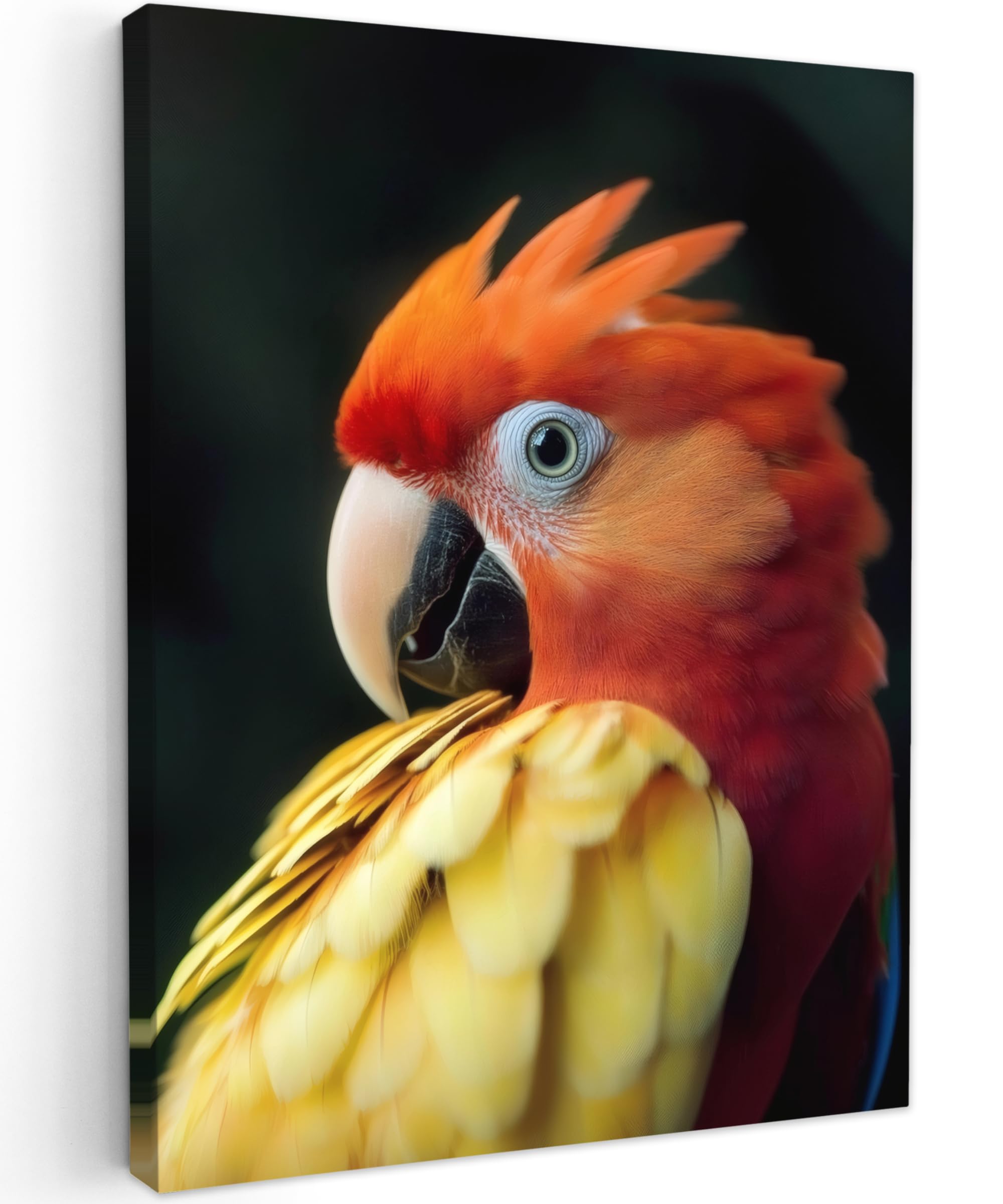 MuchoWow© Canvas Wall Art 20"x28" / 50x70 cm Home Decor Paintings for Living Room Decorations Gifts Hallway Close-Up - Parrot - Feathers - Orange