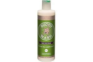 Buddy Wash: Your Dog's Ultimate Grooming Essential