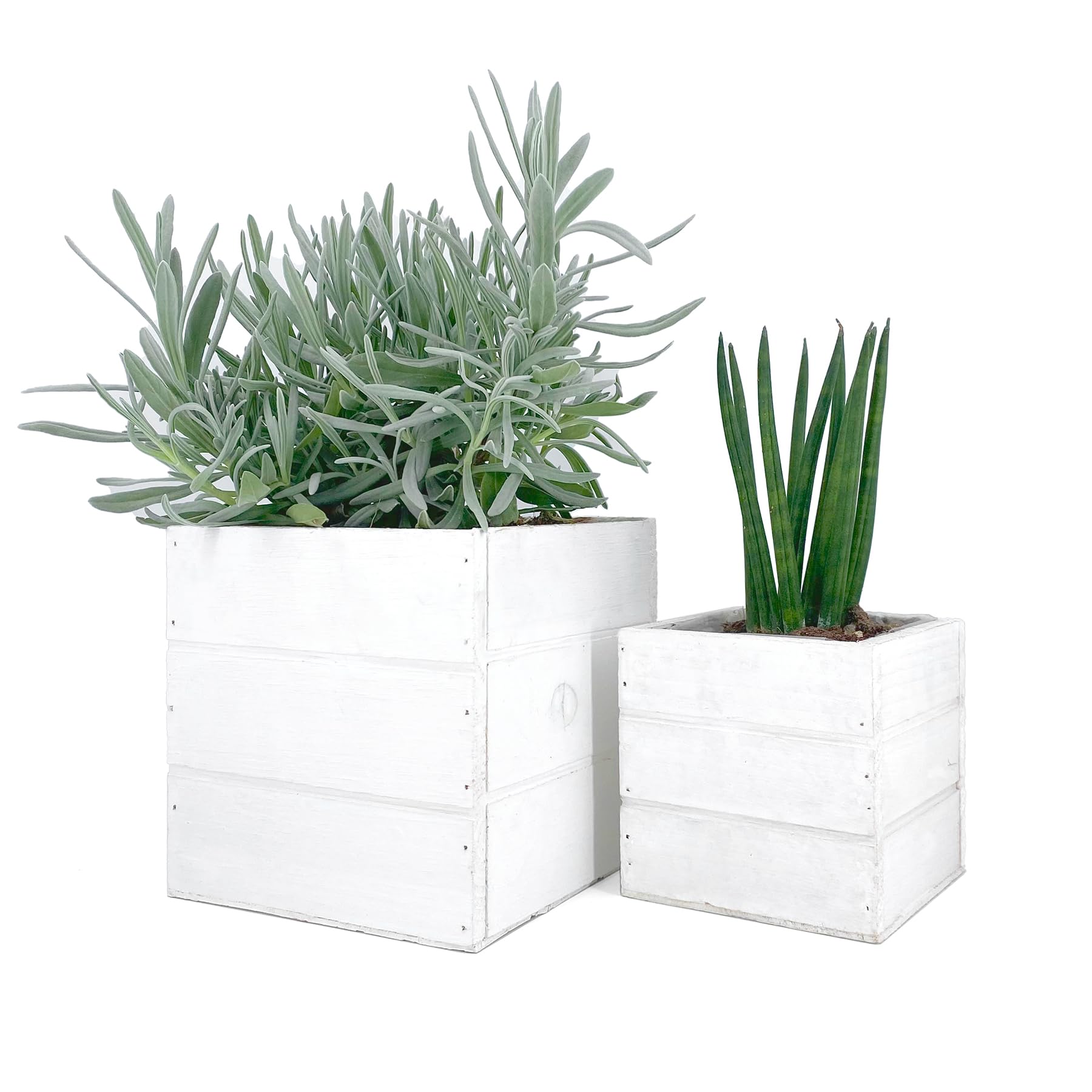 Cajas de madera blanca para flores, plantas, bonsái, hierbas aromáticas, decoración del hogar, jardín, balcón, terraza (14 x 14 + 10 x 10)