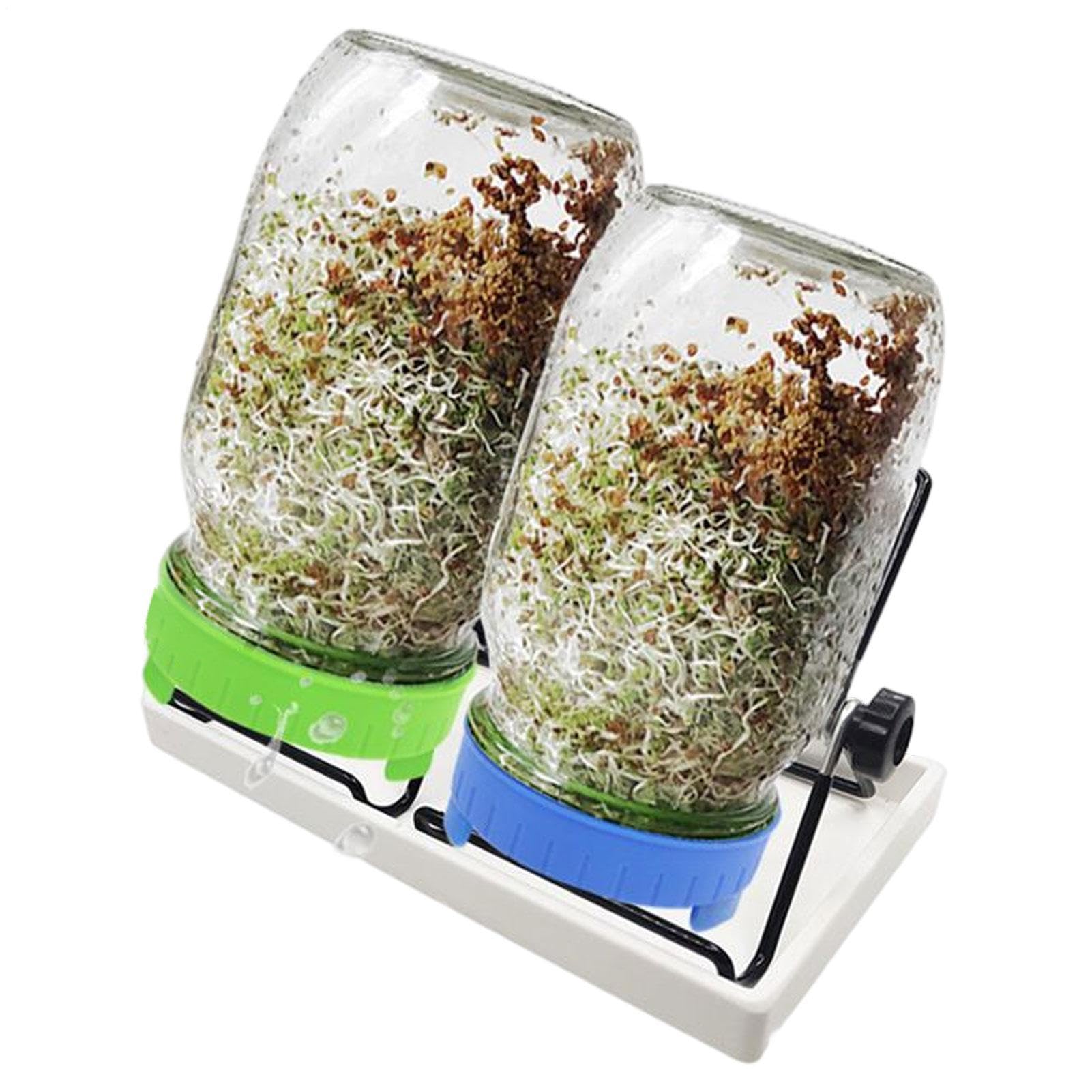 Generisch Lot de 2 Verres à pour Germination en Verre à avec 1 Bol d'eau | 2 couvercles de Grille filtrante en Acier Inoxydable 304 et 2 Supports, 1000 ML, Calibre 86 mm