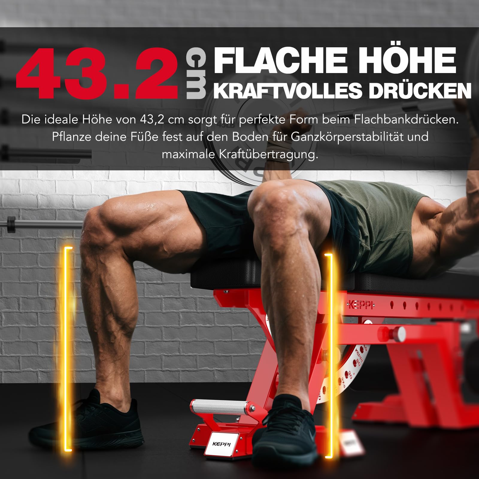 Keppi Hantelbank, 680kg Belastbare Hantelbank Aus Commercial Stahl, 43,2cm Wettkampfhöhe, 11 Rücken + 8 Sitzpositionen FID Design Mit Hochkantlagerung – Bench6000