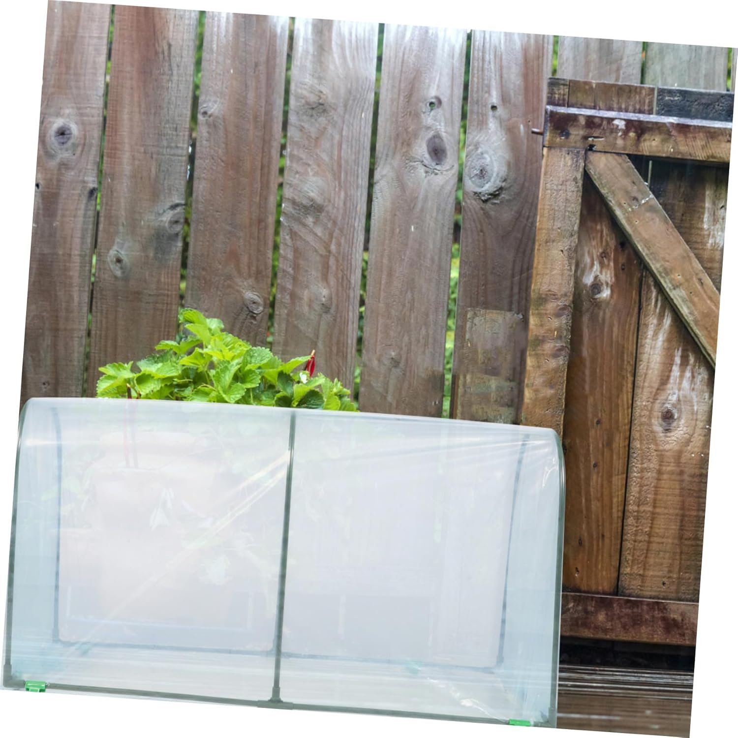 Transparent Heat Preservation Garden Greenhouse Cover for Outdoor Winter Plants DIY Plant Shelter with Space Protective Greenhouse Accessory for Balcony and Flower Pots Easy