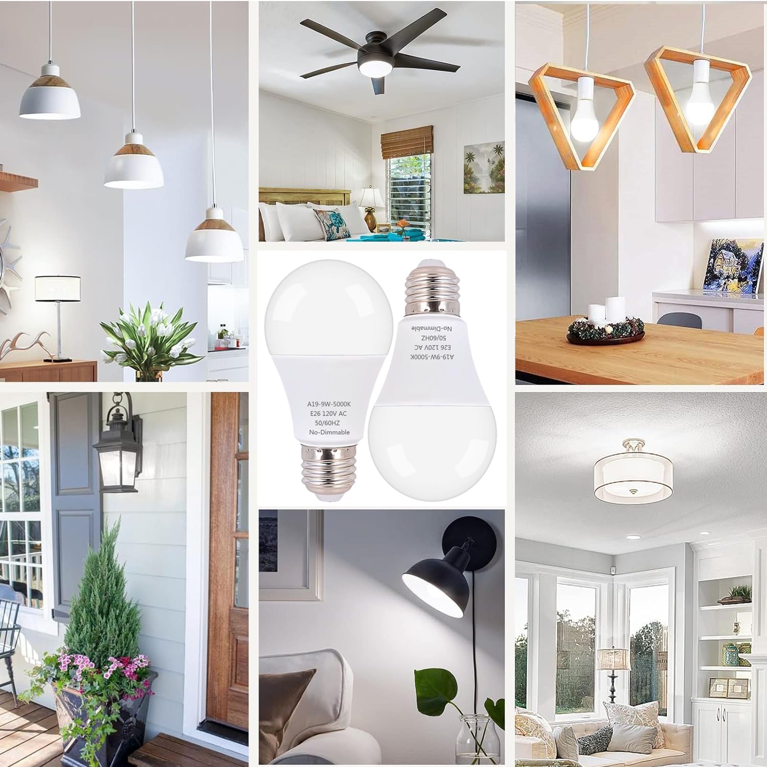 LED Light Bulb,A19 60 Watt Equivalent, Energy Efficient 9W,800 Lumens, Daylight White 5000K, Non-Dimmable, Long Lifetime,Frosted,6 Count (Pack of 1)