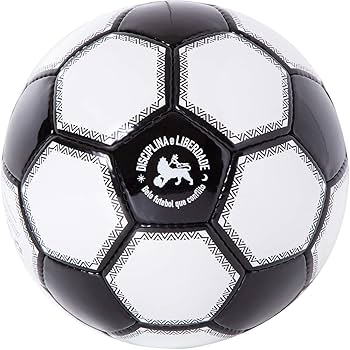 Amazon | LUZeSOMBRA(ルースイソンブラ) LUZ フットサルボール 4SIZE