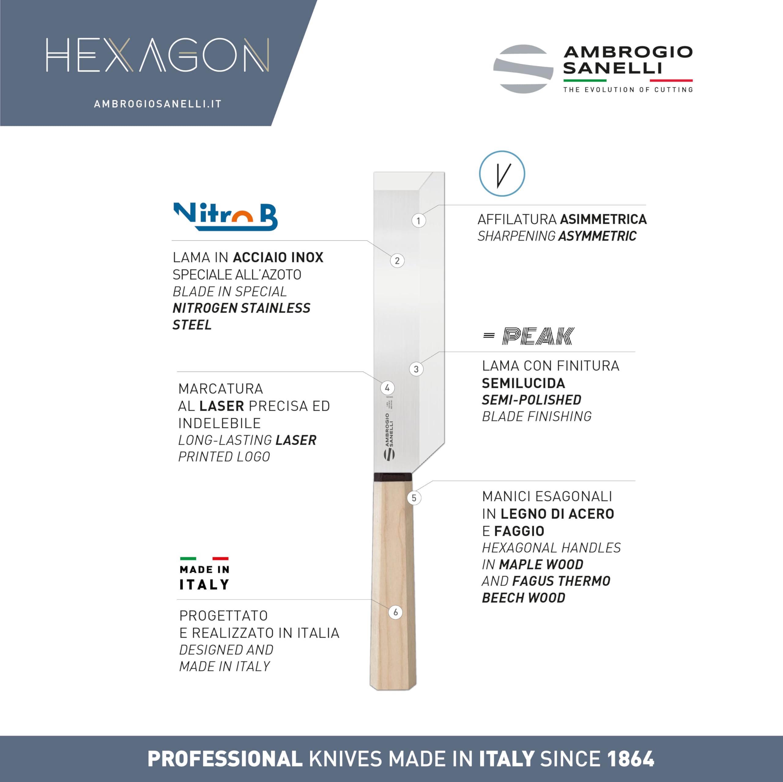 Ambrogio Sanelli, Coltello da Cucina Professionale Hexagon, Coltello Usuba con Lama 21 cm in Acciaio Inox all'Azoto e Manico Esagonale, Coltelli Professionali in Stile Giapponese, Made in Italy