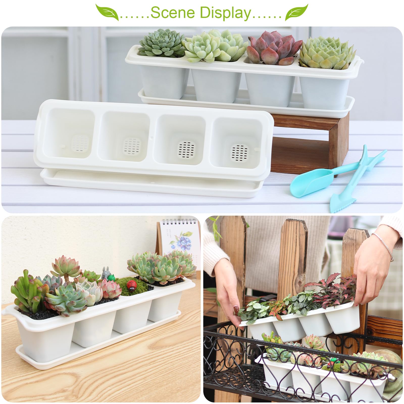 Amazon.co.jp: Oliz 多肉植物ポットセット、8個 ミニフラワー植物