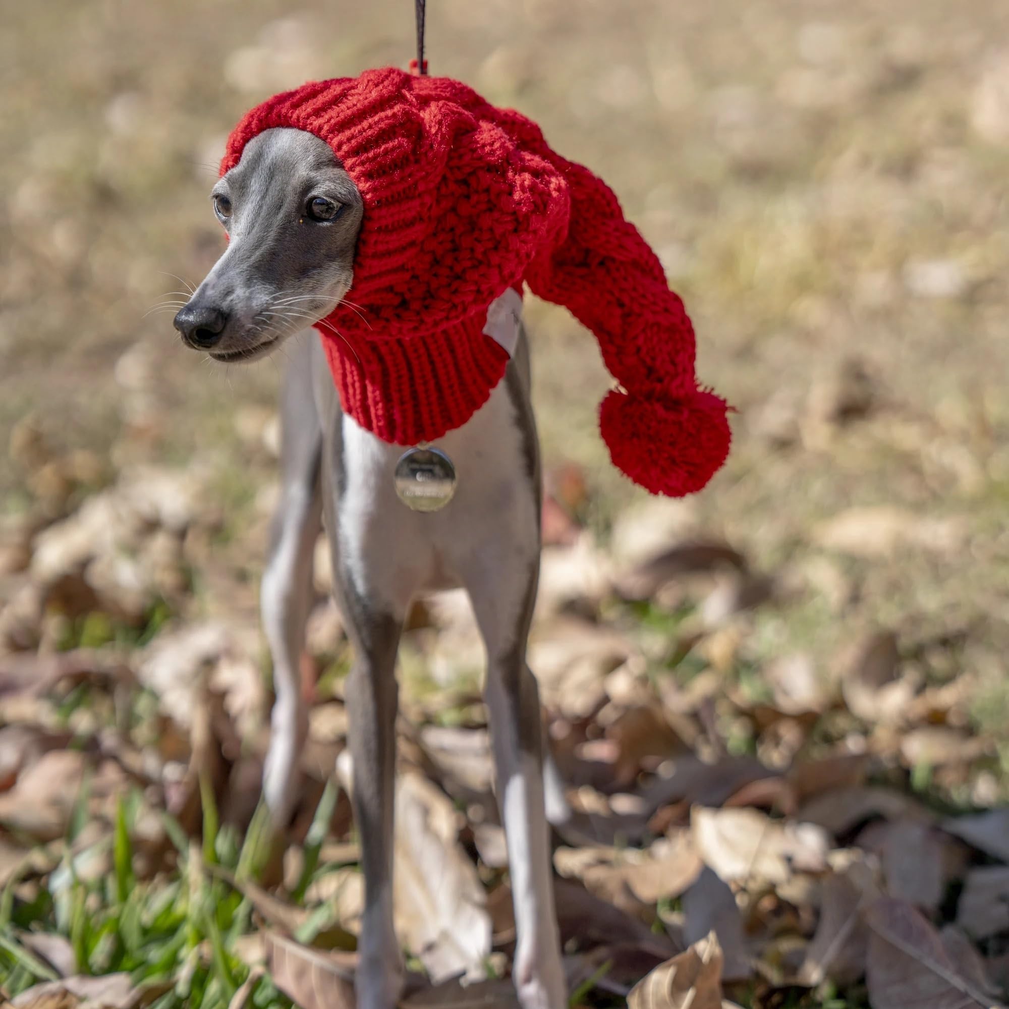 帽子 Whippet VINTAGE WHIPPET BEAVER（ビンテージウィペット ビーバー）ST136