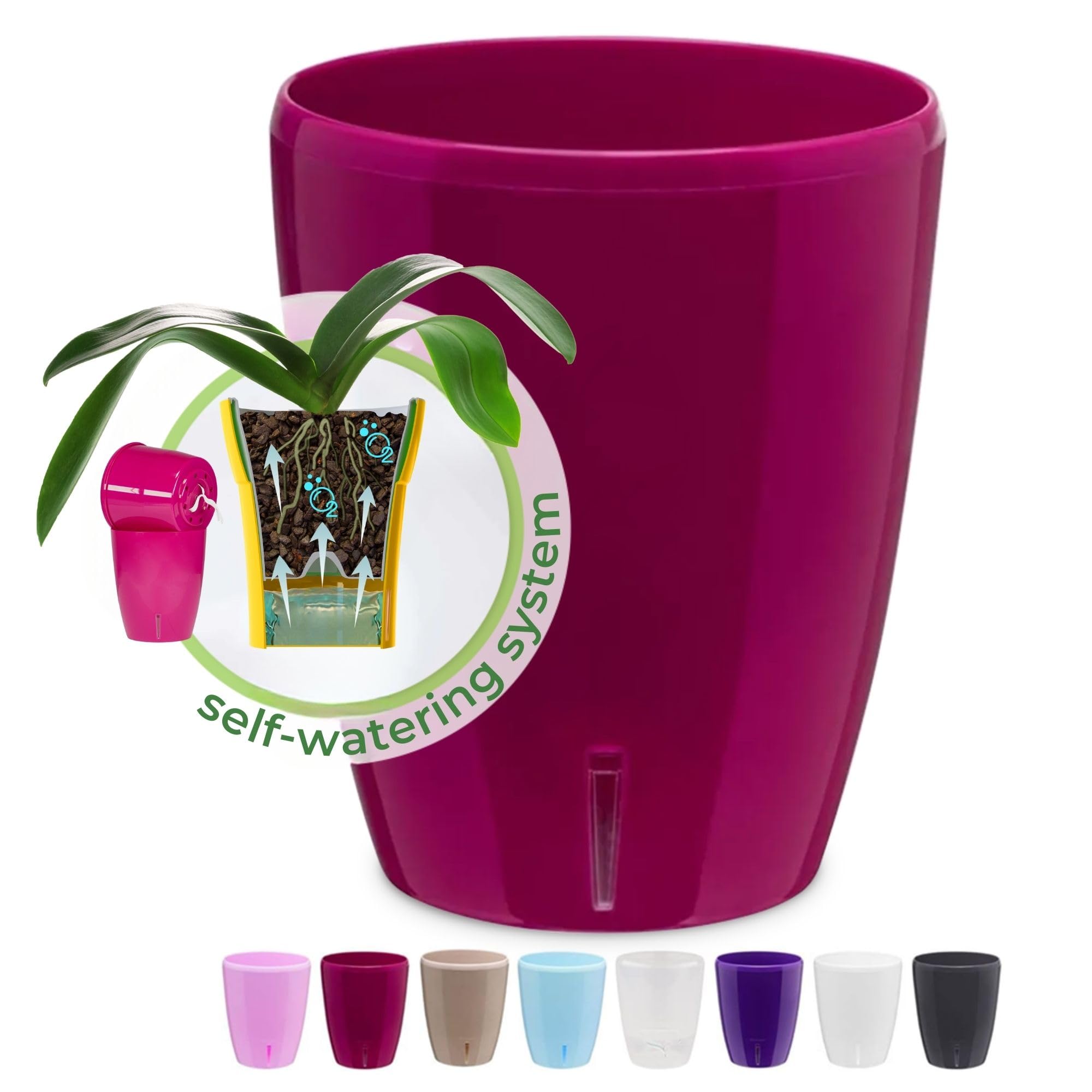 Happyplants Violet / Pack Of 1 Happy Plants Orchidea Clear Orchid Self-Watering Flower Pot Planter With Water Level Indicator Water Reserve And Drainage Holes (Ø12.5cm Ø15cm Ø16.5cm) (Violet, Ø 15Cm - 2L)