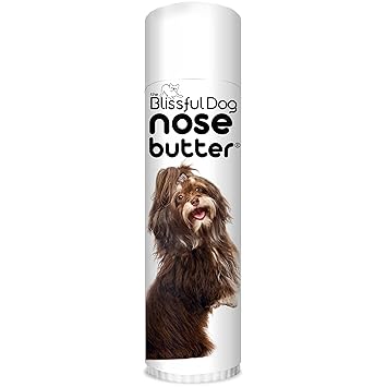 The Blissful Dog UNSC-50OZ-HAVANE Havanese Unscented Nose Butter, 50 oz