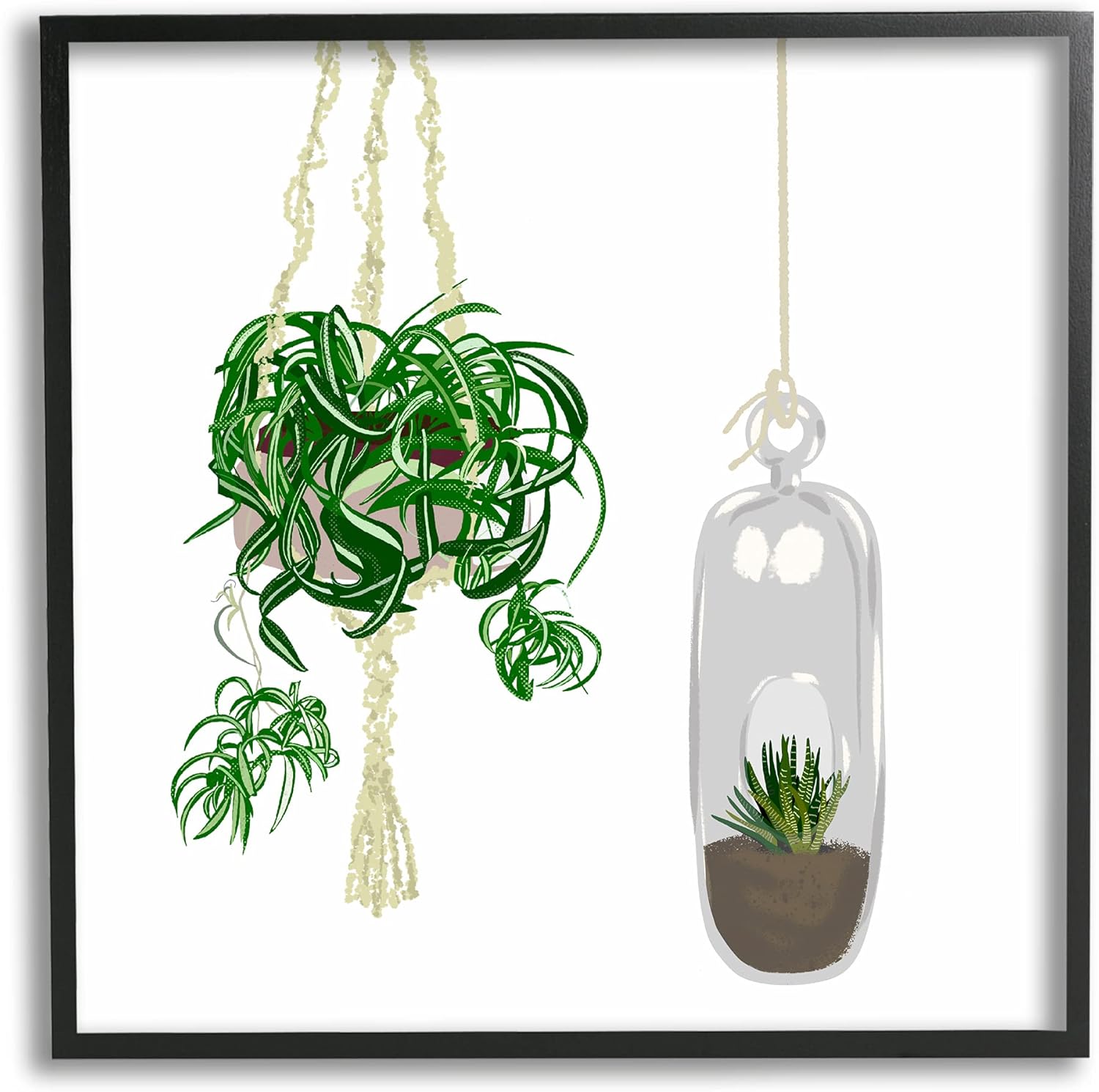 Modern Indoor Potted Greenery Spider Plant Terrarium