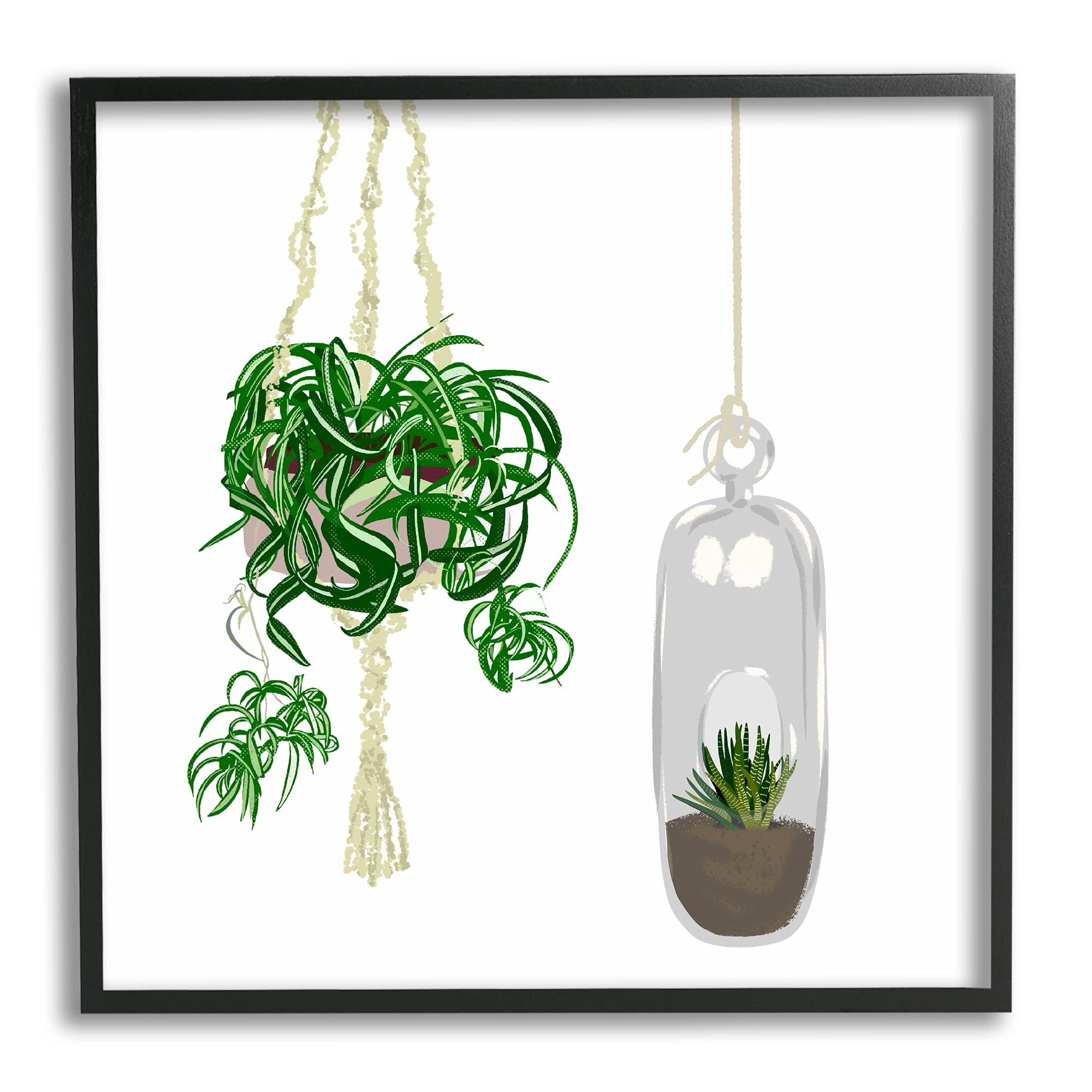 Amazon.com: Modern Indoor Potted Greenery Spider Plant Terrarium : Patio,  Lawn & Garden