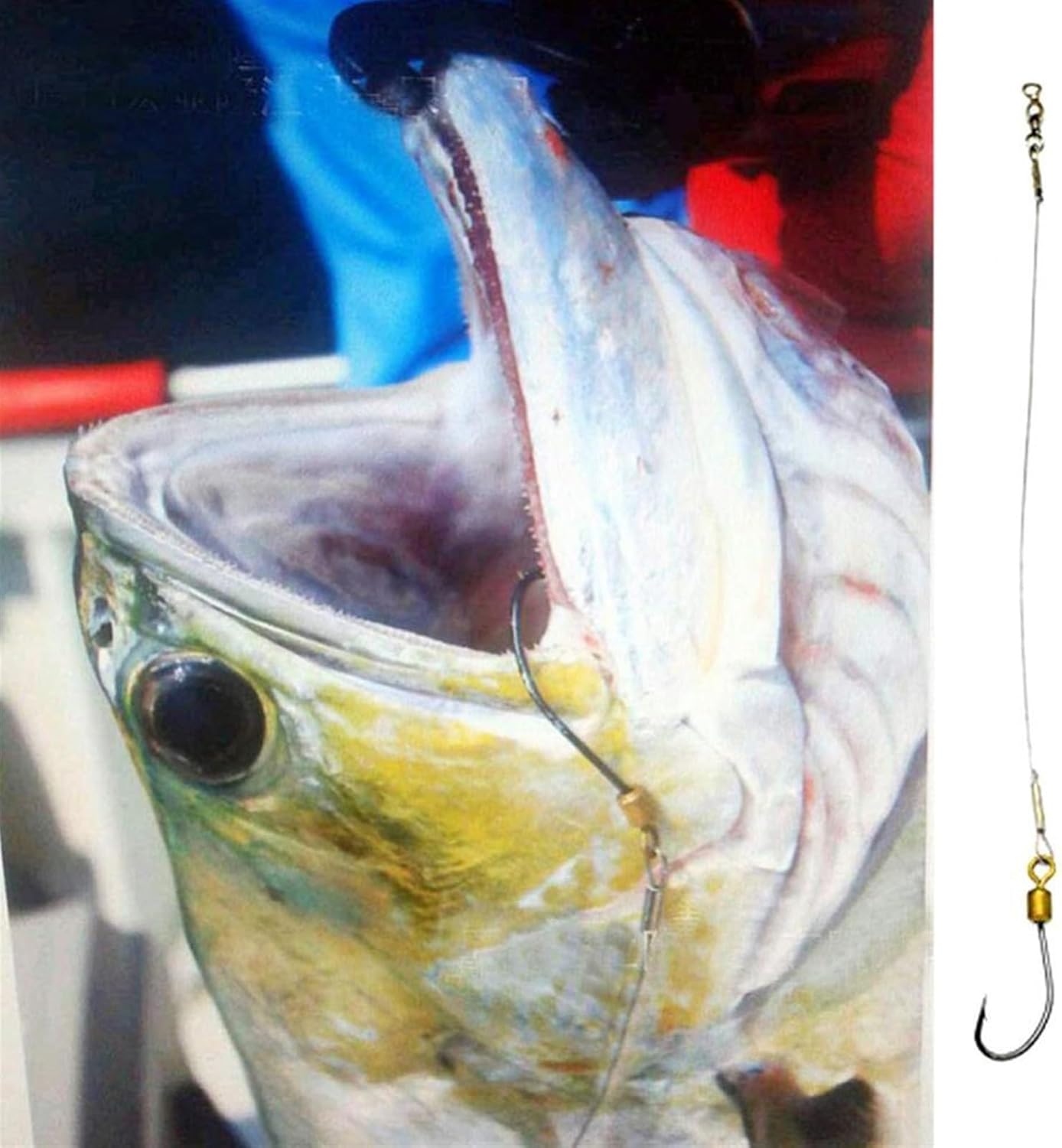 Fishing Hooks Fishing Gear 5 Pcs Fishing Leader Wires Anti-Bite Stainless Steel Wire Leader Fishing Rigs Hooks Line Tackle Tool Fish Accessories Fishing Tackle (Color : 8#)