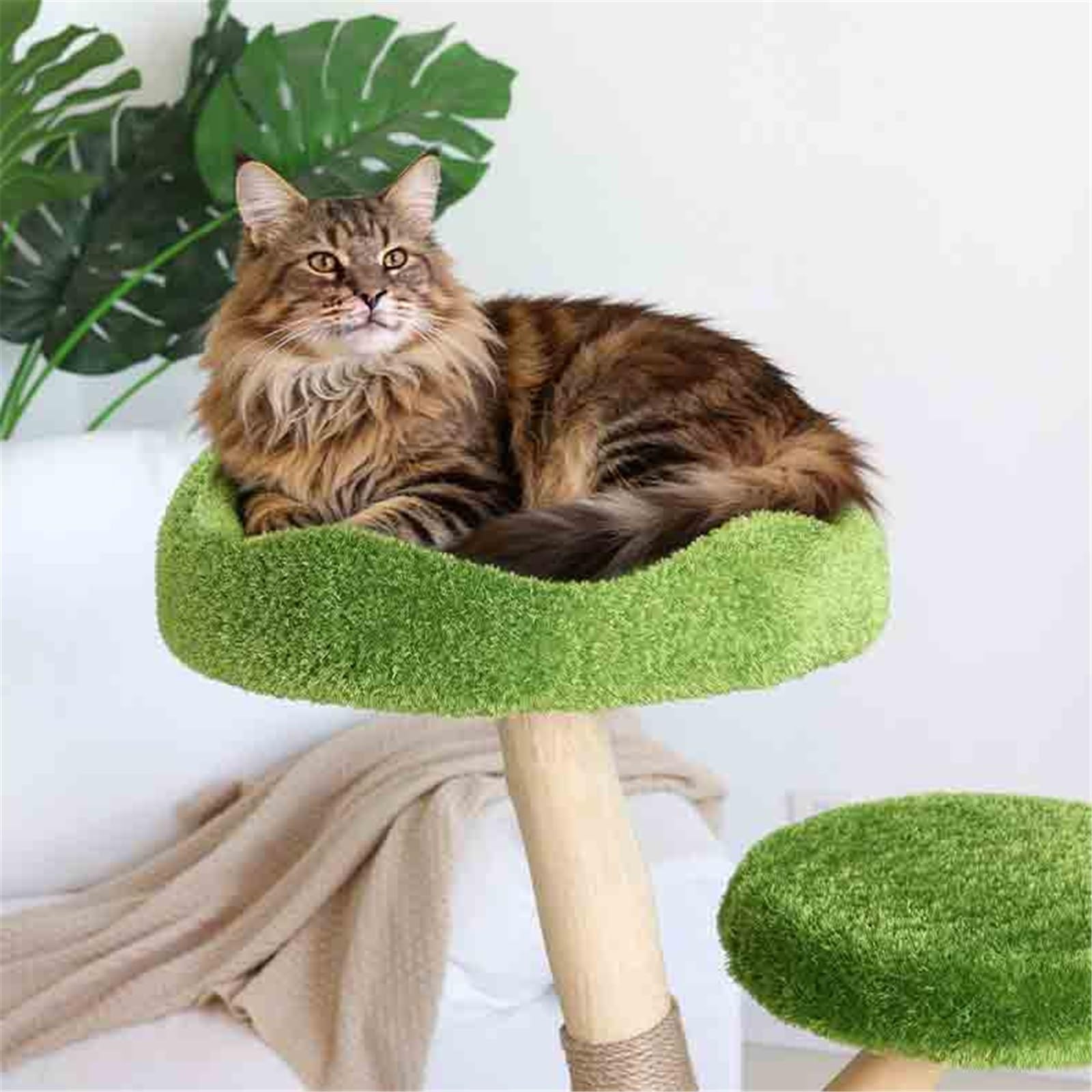 Piccolo tiragraffi compatto for appartamenti, comodi posatoi in peluche e condomini a scomparsa