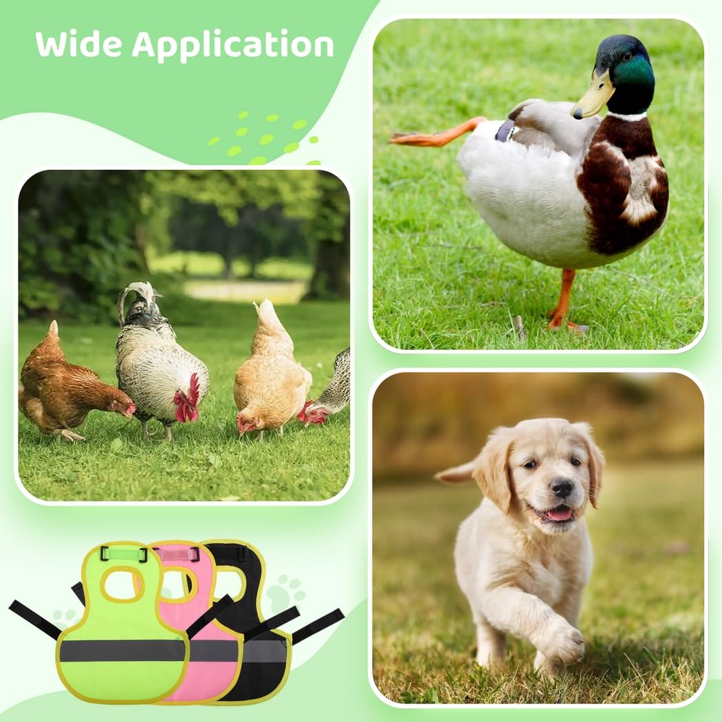 6 chalecos reflectantes para pollo, sillines de pollo ajustables, delantales impermeables con cierre de , arnés para pato, ganso, perro pequeño