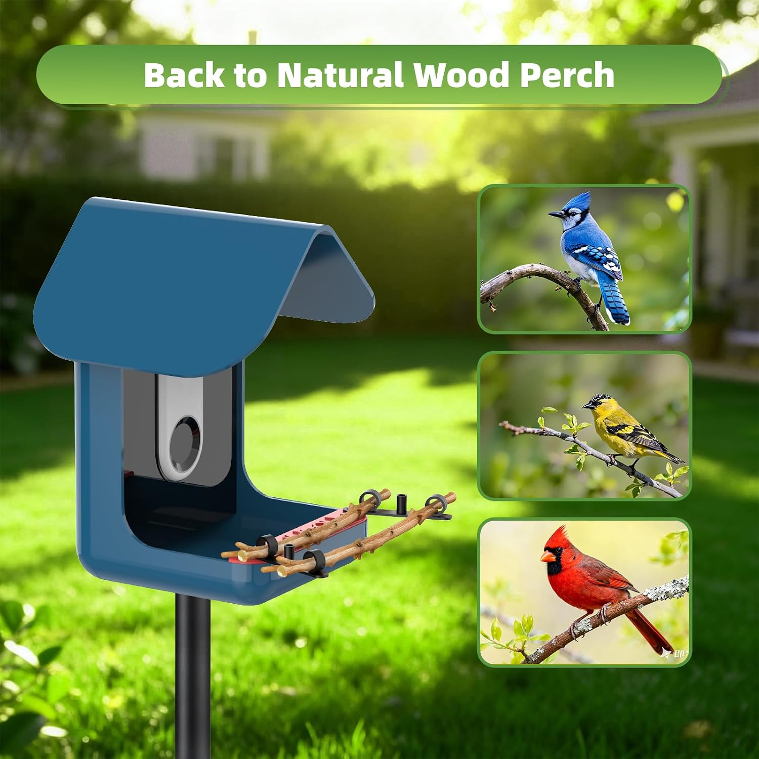 DIY Perch Extender Designed for Bird Buddy Feeder Pro /2 image 3