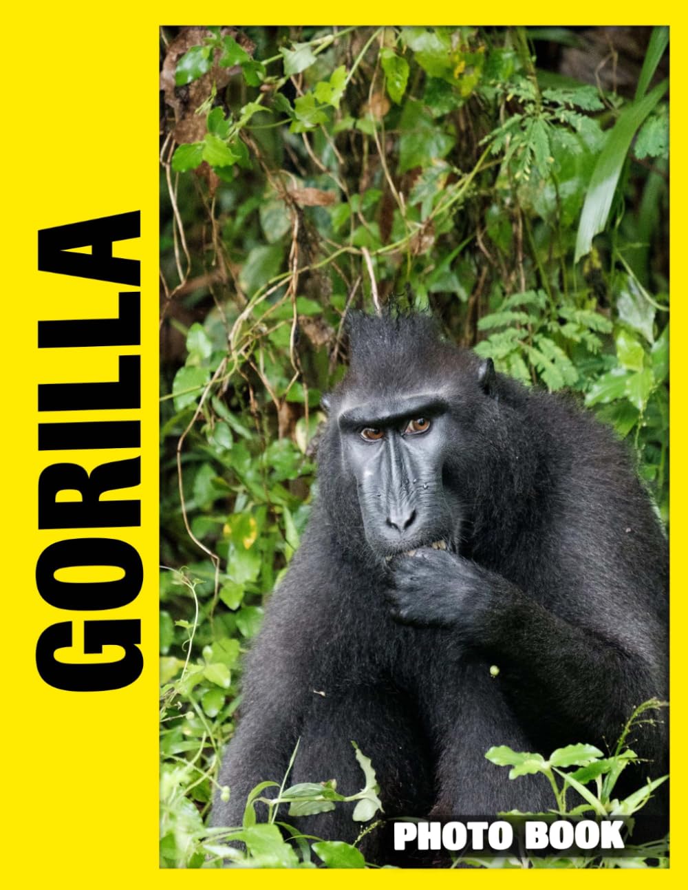 Gorilla Photo Book: Majestic Primates Showcased In Breathtaking Photography With Raw Strength And Gentle Gorilla Family Bonds