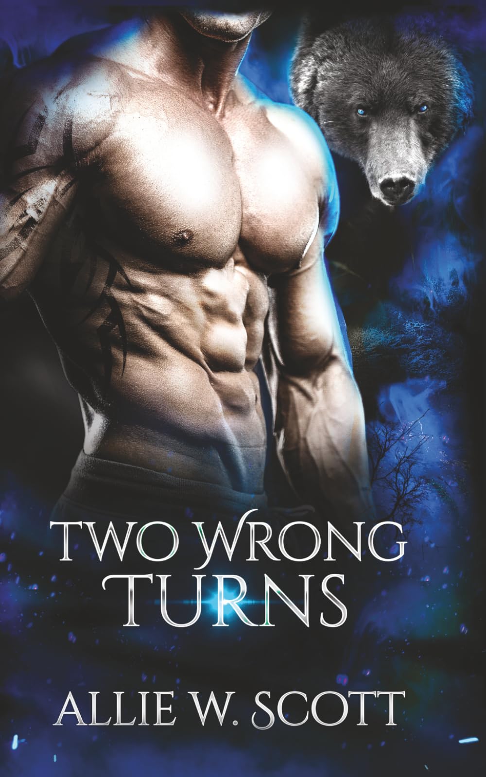 Two Wrong Turns: A Paranormal MPreg Romance