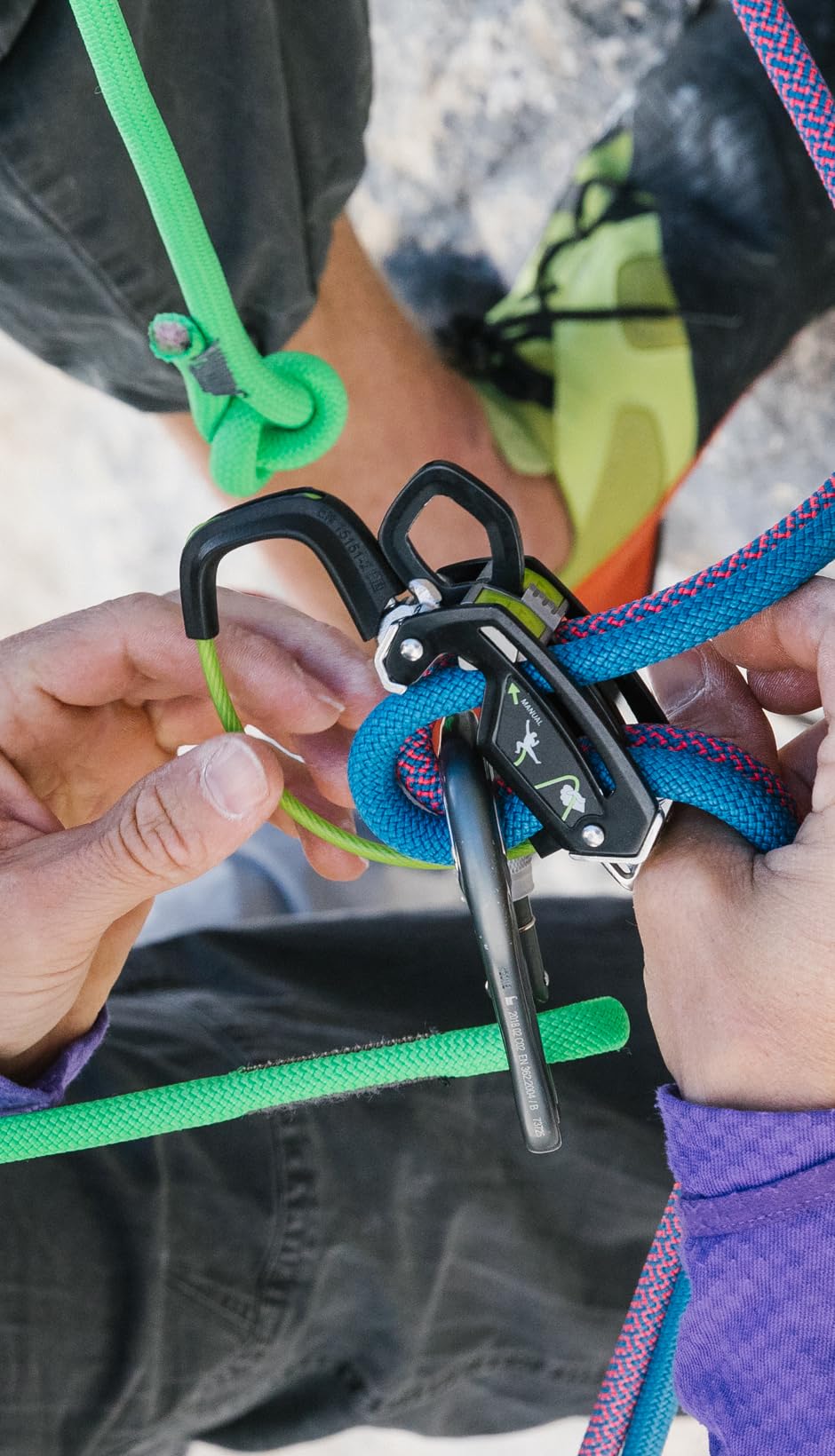 Amazon | EDELRID(エーデルリッド) 登山 クライミング ビレーデバイス