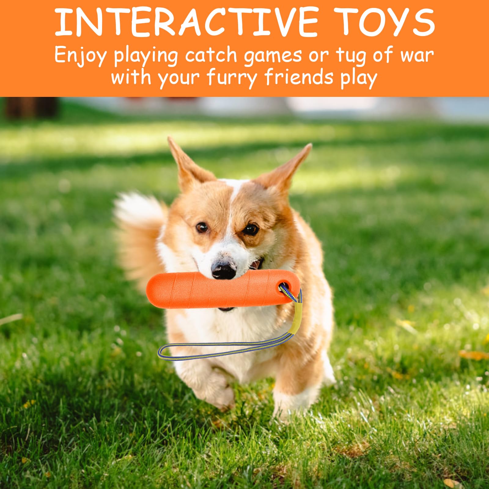 EPODA Jouet Chien Indestructible, Boudin Jouet Pour Chien Interactif, Mâcher Corde Jouets Pour Jeux Chiens, Cadeau (Bleu