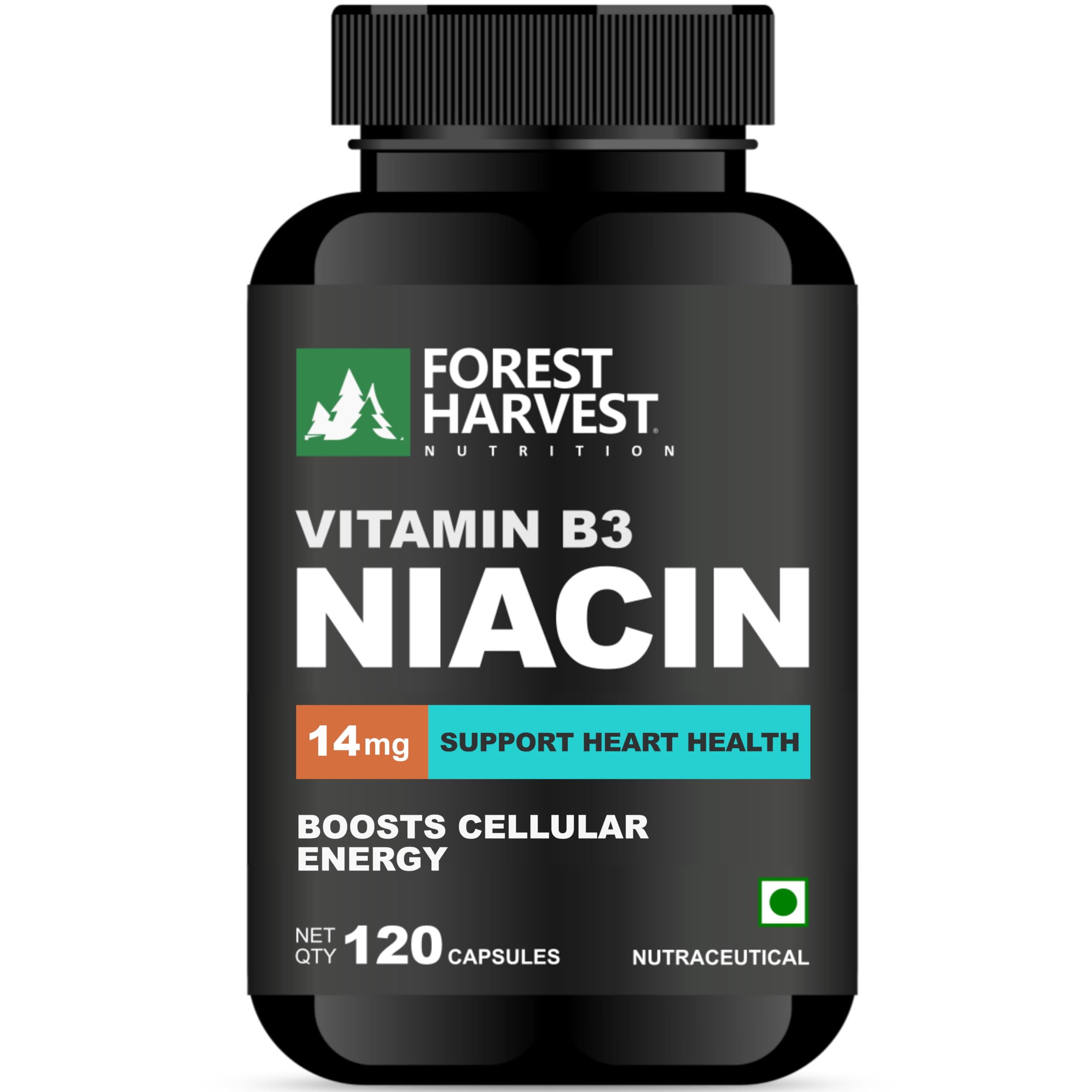 [BRSREYYECN6BQE3K] Vitamin B3 (Niacin) | Daily Wellness Support | 120 Capsules | WHO-GMP, HACCP, ISO & FSSAI Certified