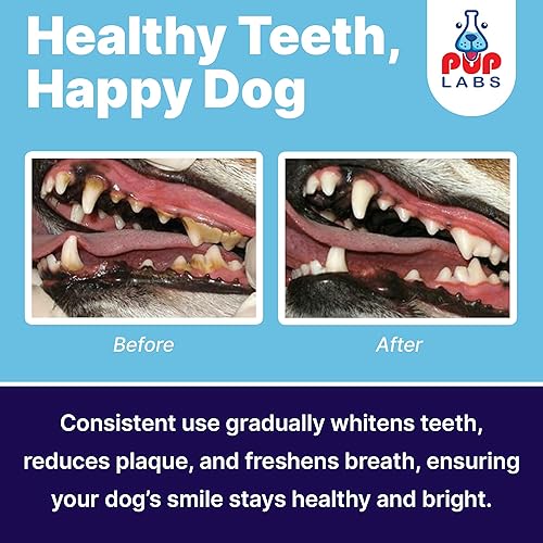 Miniatura 4 de ProDenta, Polvo dental para perros totalmente natural para limpieza de dientes, polvo dental para dientes de perros con ambientador de aliento.