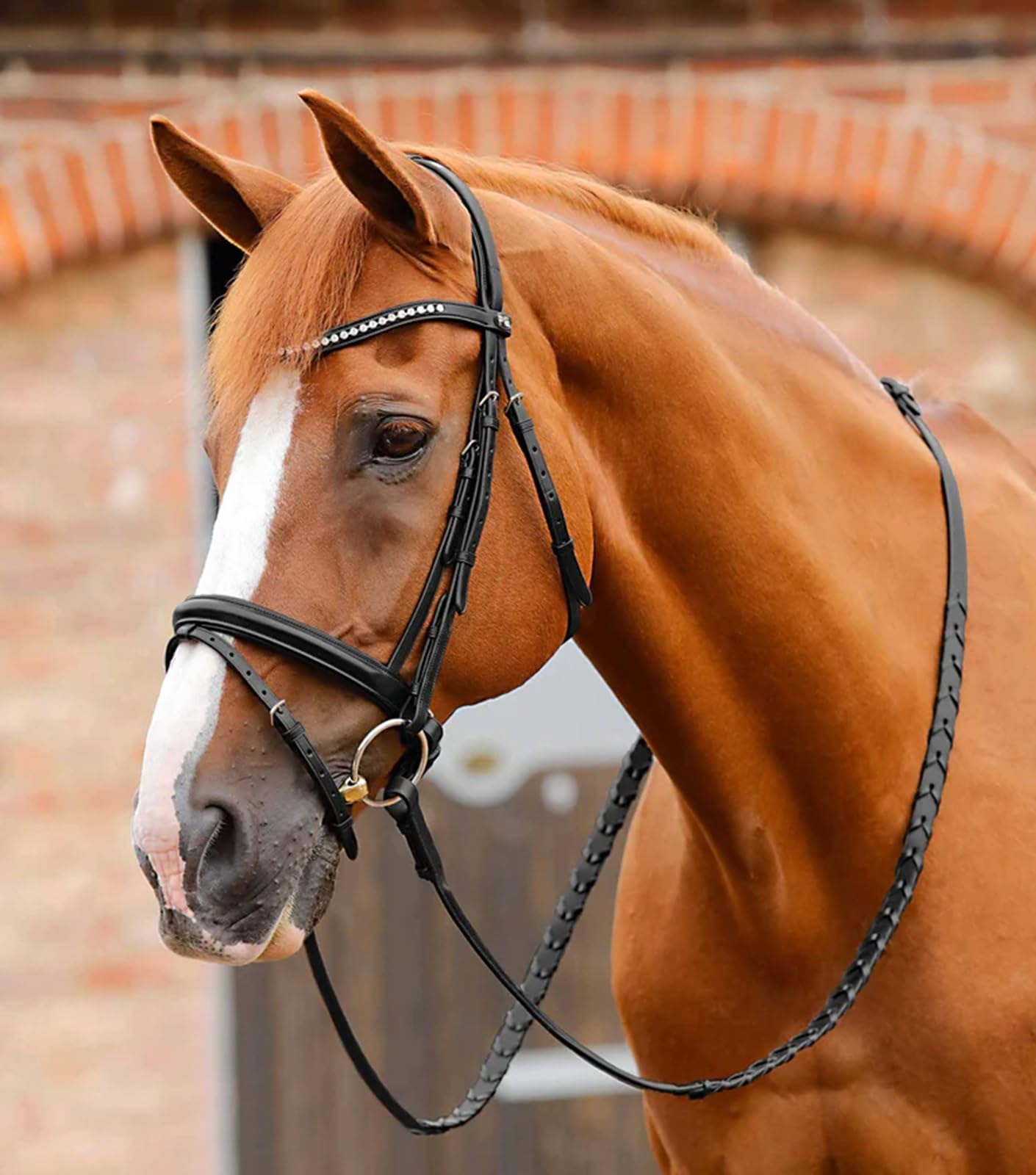 Premier Equine Bellissima - Banda para cejas con forma de diamante, color negro o marrón