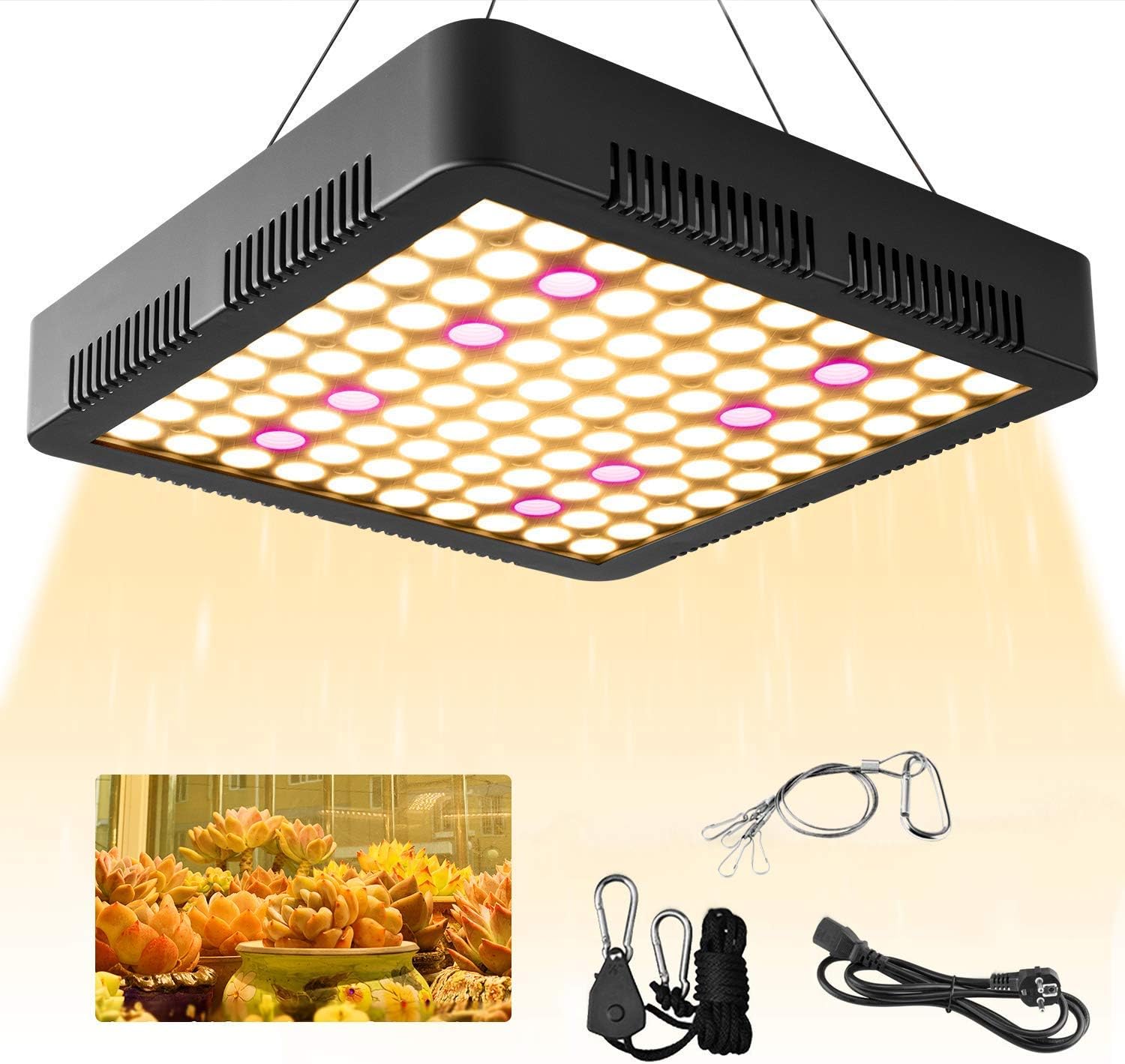 ALLAN Jumbo Gummi Bears candy, 1.25kg/ 2.75lbs {Imported from Canada}