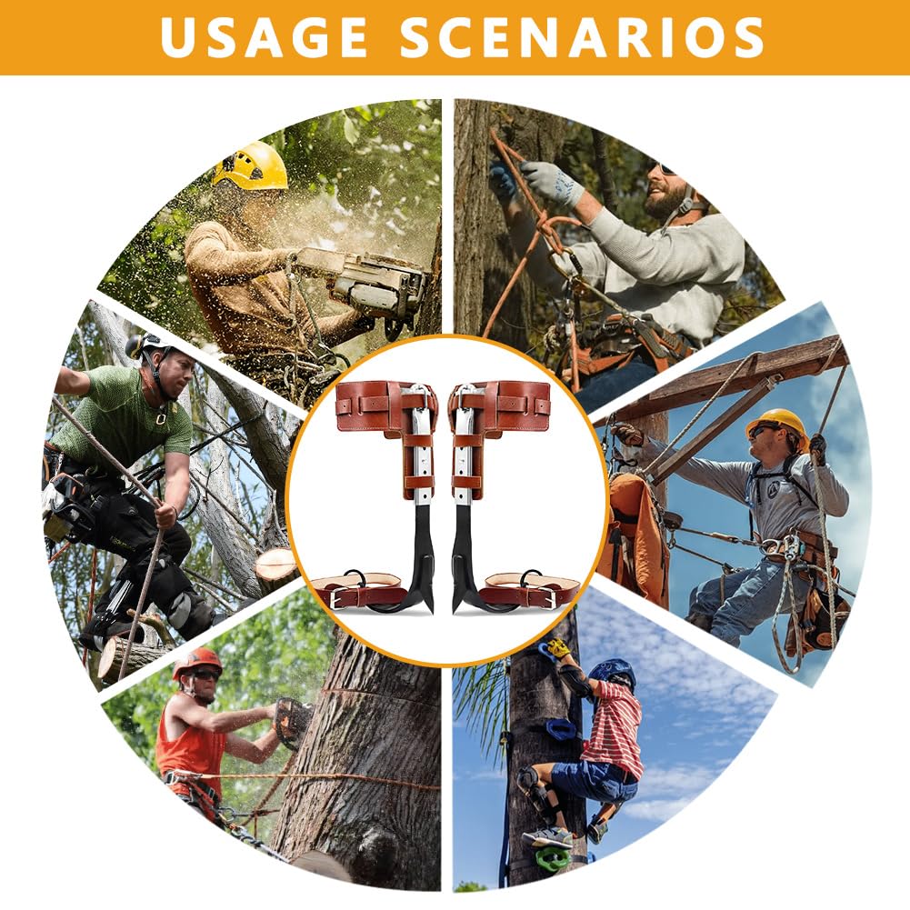 DJEMPPS Tree Climbing Spikes Set - Adjustable Cowhide Straps, 304 Stainless Steel Spurs, Max Load 240 Lbs