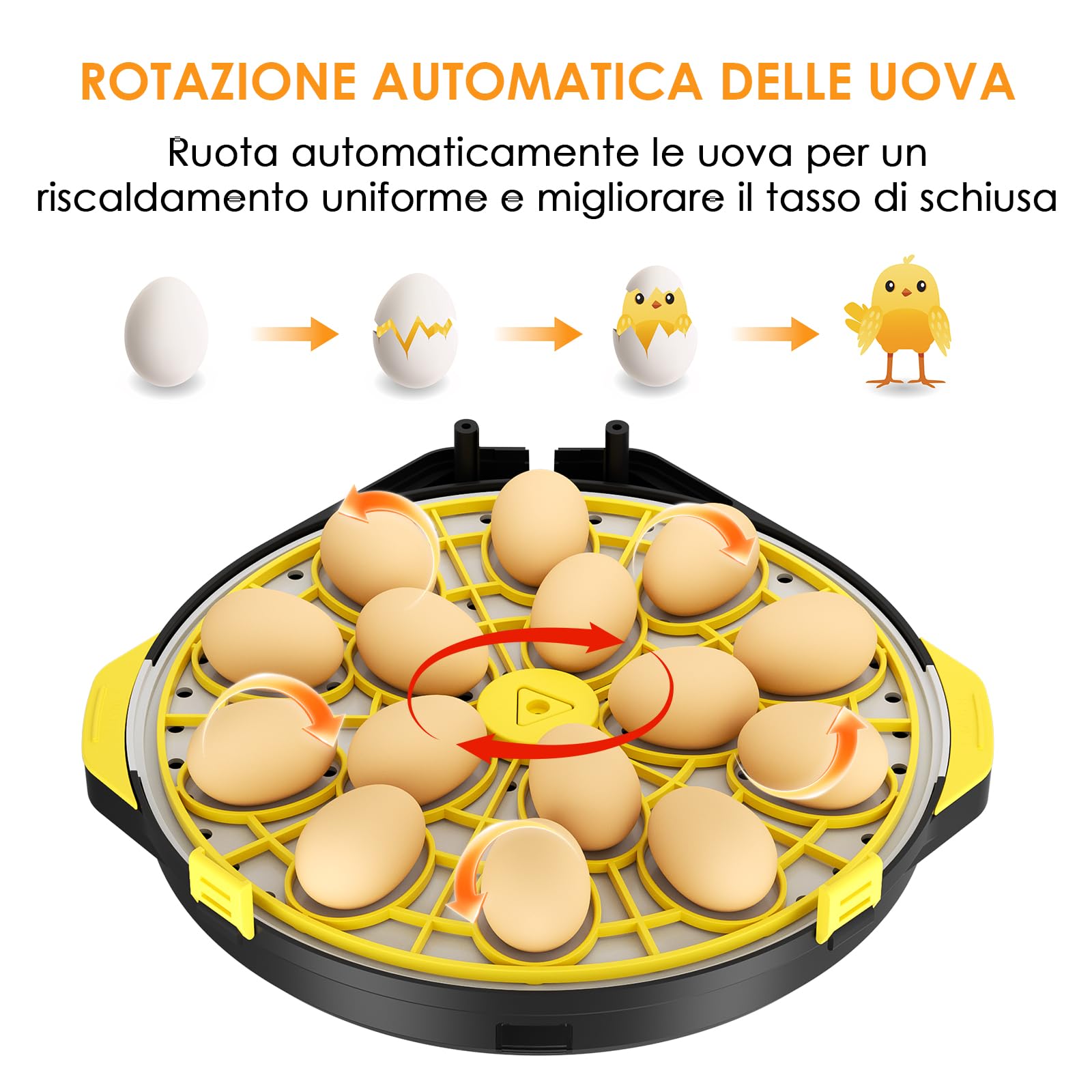 Incubatrice per Uova Automatica, Incubatrice 15 Uova Rotazione Automatica delle Uova, Controllo della Temperatura e dell’Umidità, Adatto all’Incubazione di Uova di Gallina, Anatra, Oca