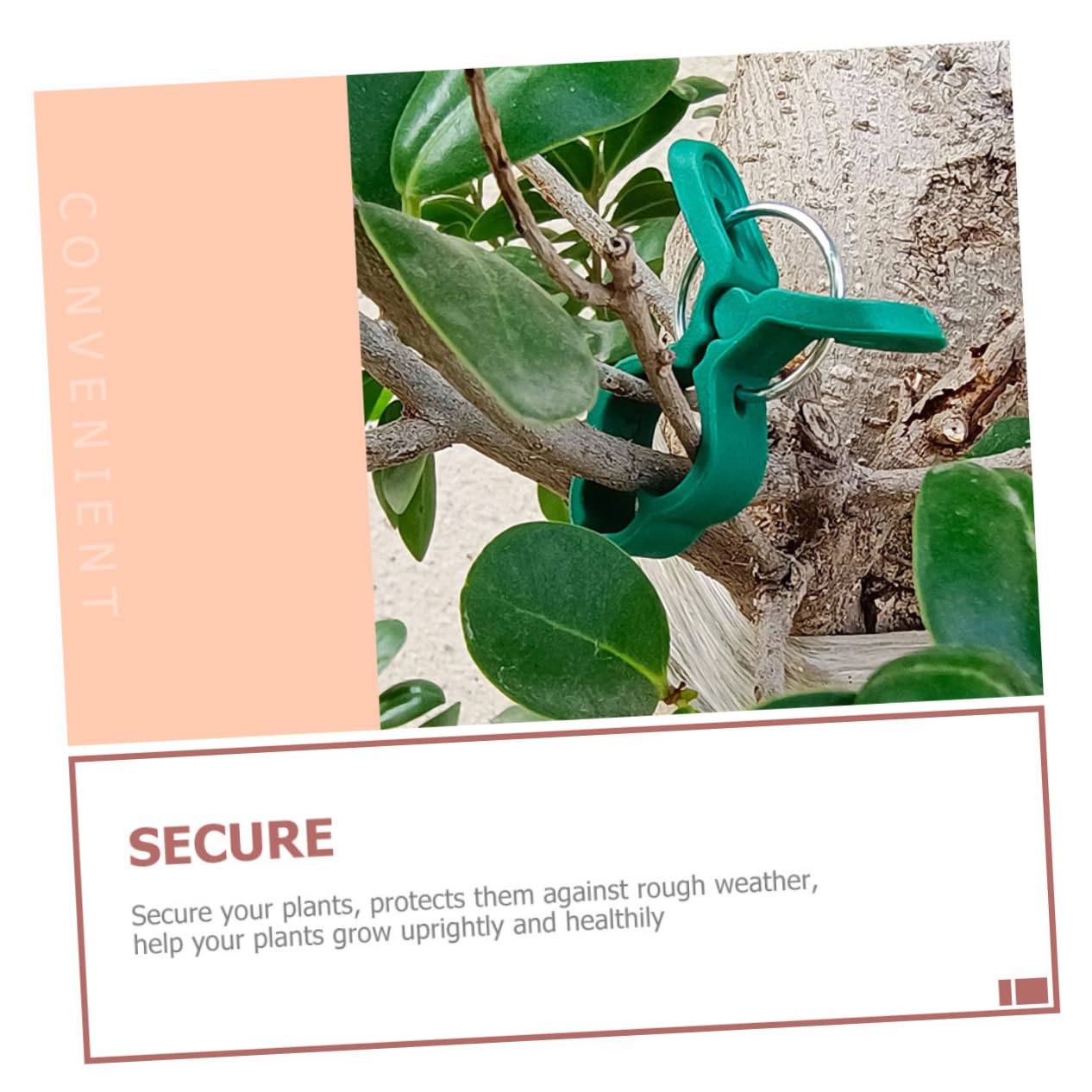 60 Pezzi Clip per Piante in Plastica Clip di Fissaggio per Vite per Pomodori Morsetto da Giardino Morsetto per Orchidee Forniture da Giardino