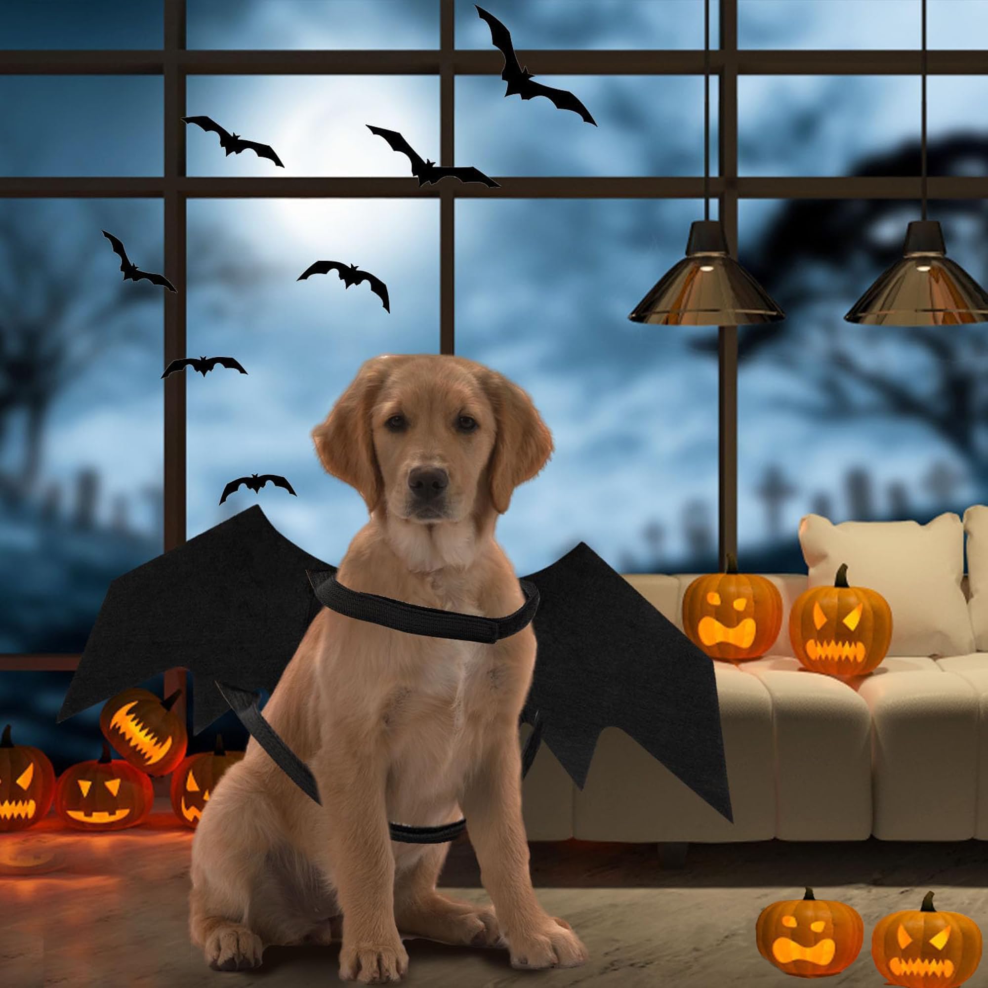 LIBRNTY Ali di Grande Cane,Ali di Pipistrello per Animali Domestici,Halloween Pet Costume,Decorazione Cosplay per Cani di Grossa Taglia,Feste di Halloween e Altro Ancora(Nuovo aggiornamento nel 2023)