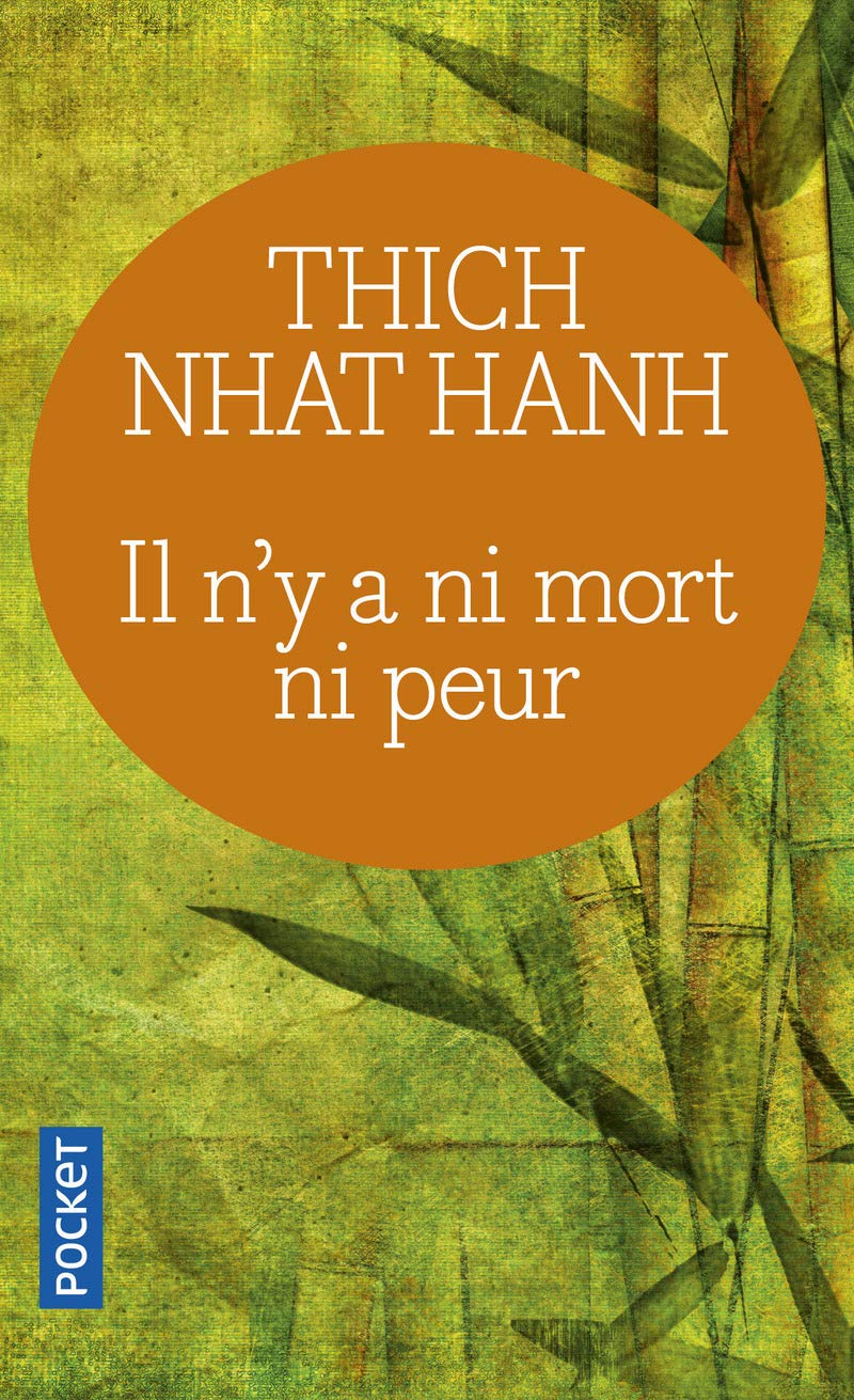 Il n'y a ni mort ni peur: Une sagesse réconfortante pour la vie