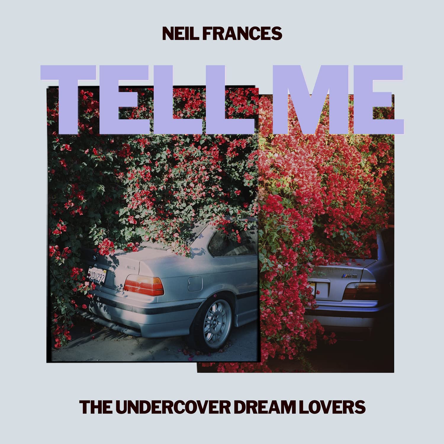 The Undercover Dream Lovers