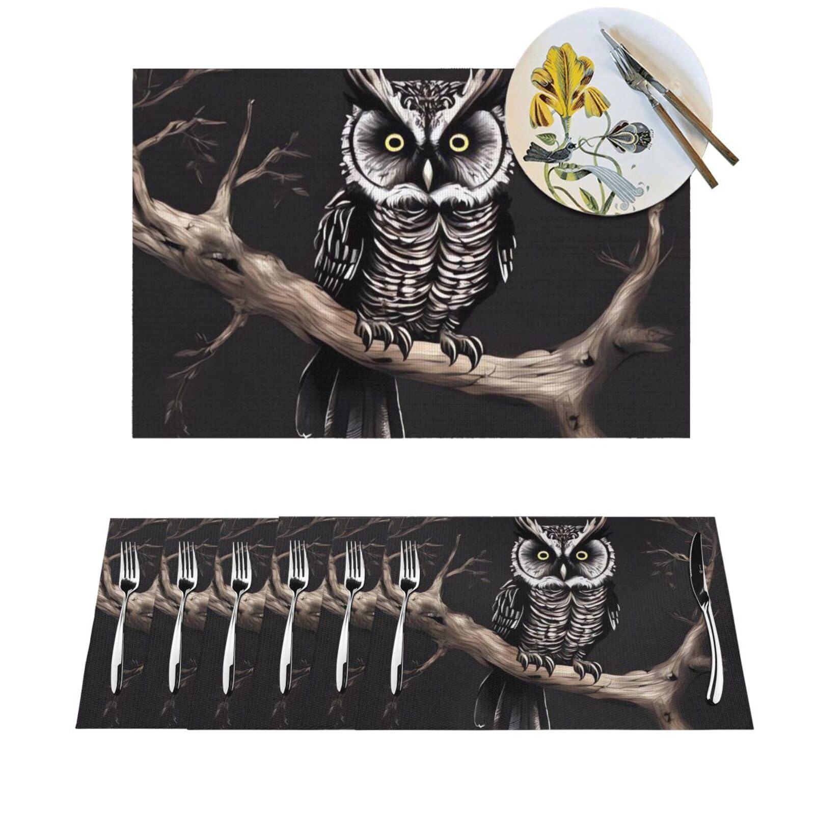 Sets de table en PVC lavables chouette pour repas en intérieur et extérieur