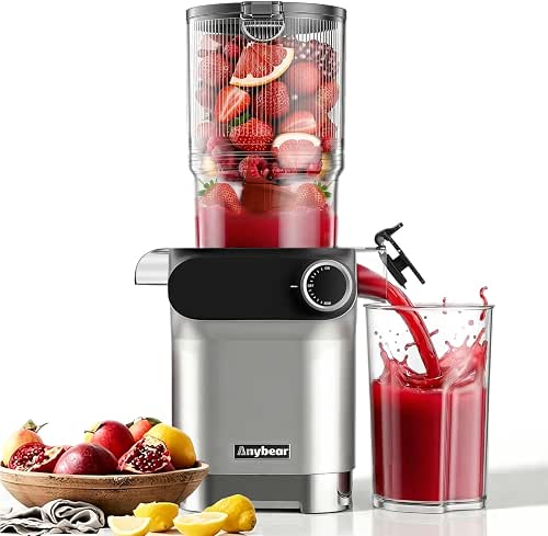 Anybear Entsafter 200W Slow Juicer mit 110 mm großem Einfüllschacht