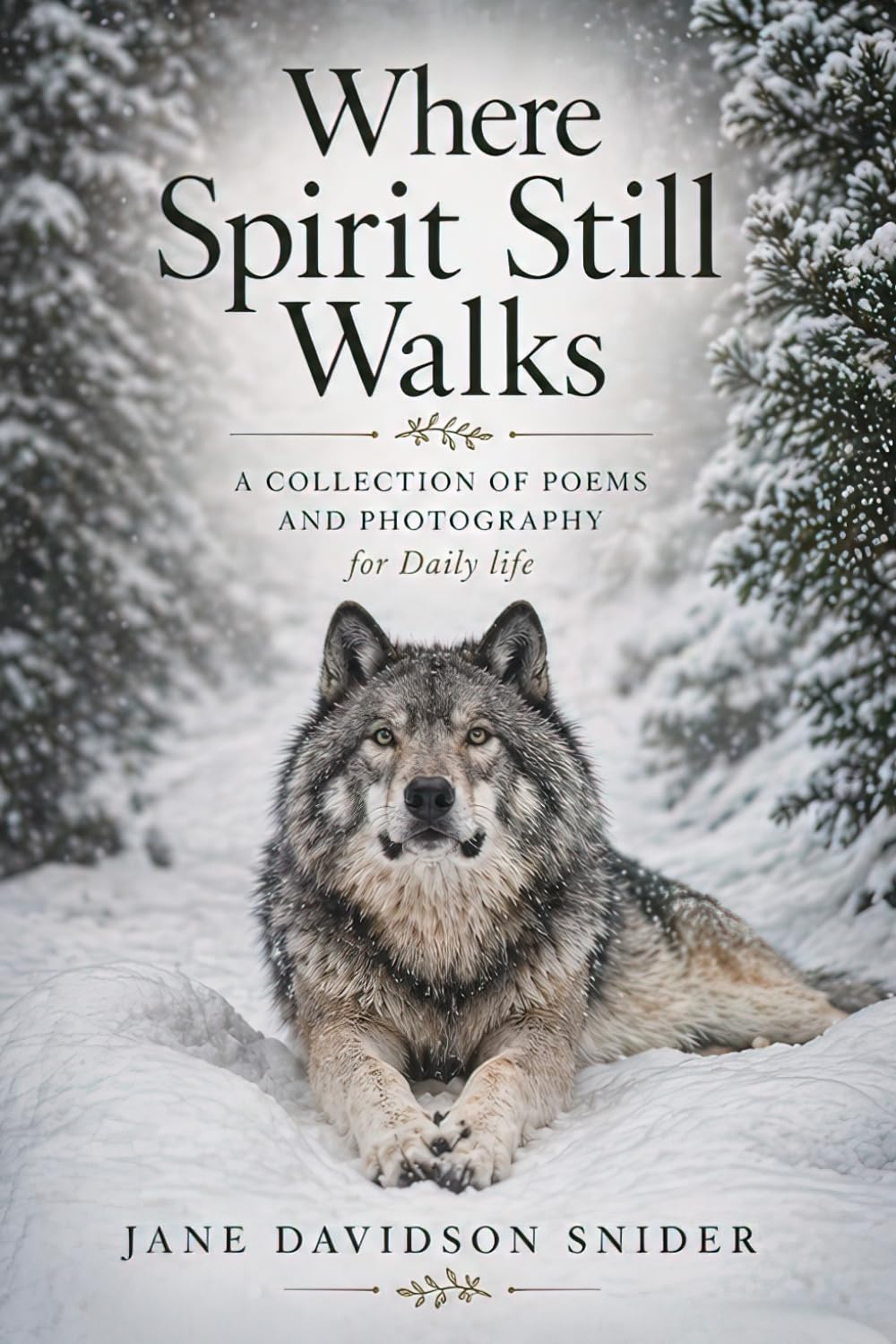 Where Spirit Still Walks: A Collection of Poems and Photography for Daily Life