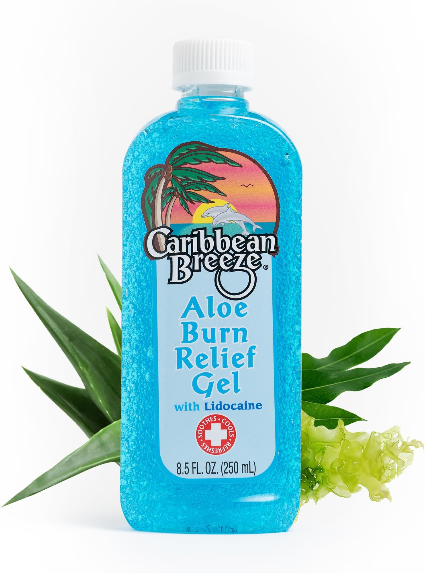 Aloe Burn Relief, Vitamin Enriched with Lidocaine Aloe Vera Gel for Sunburn Relief, 100% Aloe Vera Gel For Face, 8.5 oz (250 ml)