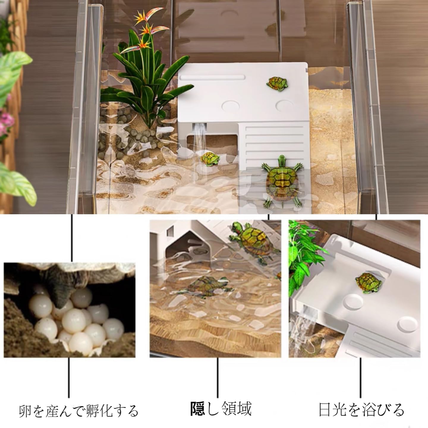 Amazon | Warayumi 亀飼育用水槽 亀水槽 大型プラスチック水槽 大型