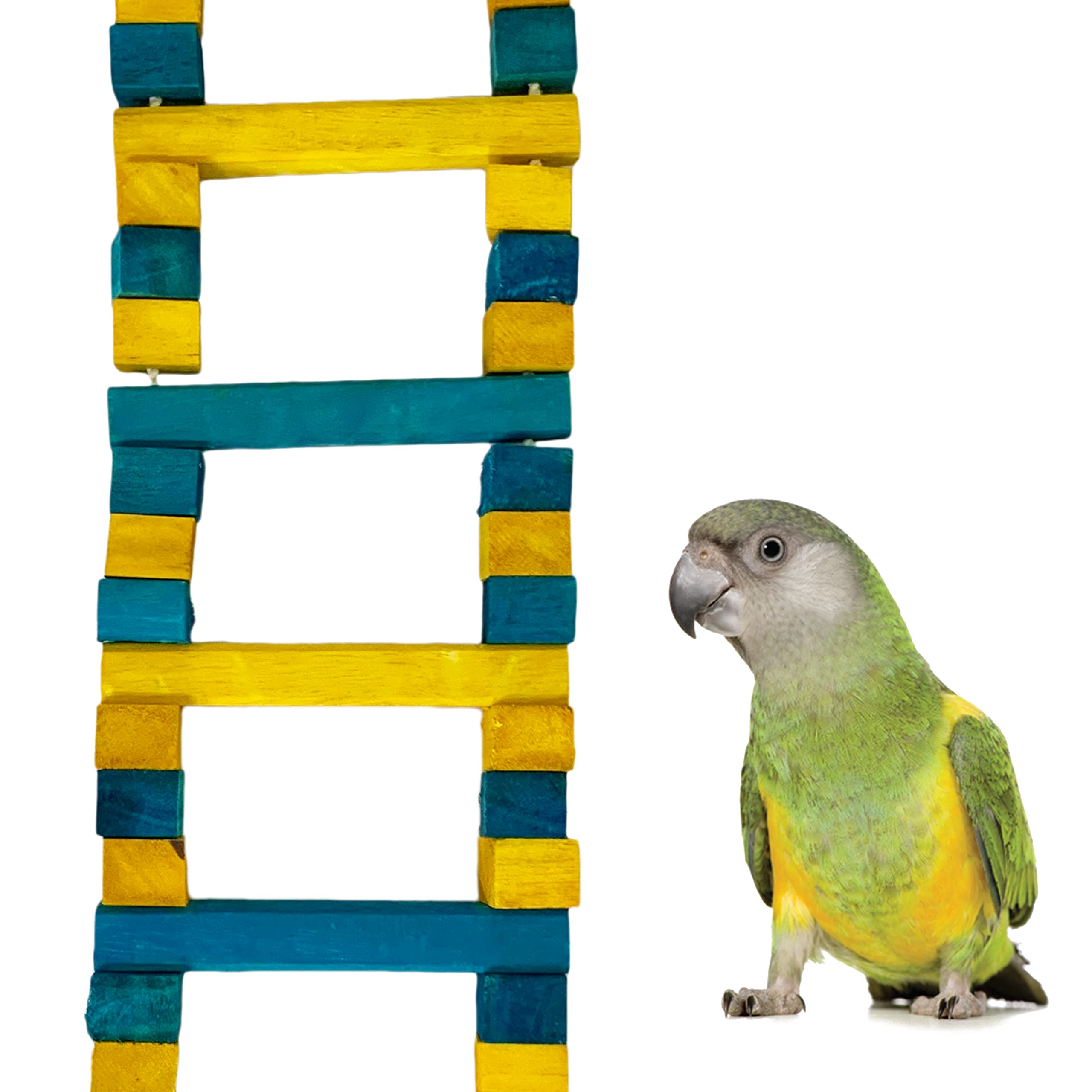 See full amazon price history chart for Congo® Colored 36 Inch Ladder for Chewing and Playing for Amazon, African Grey, Macaw, Cockatoo and Other Birds (Piece of 1) Congo® Colored 36 Inch Ladder for Chewing and Playing for Amazon, African Grey, Macaw, Cockatoo and Other Birds (Piece of 1) (B09X15Z7YT) Amazon Price History, Amazon Price Tracker