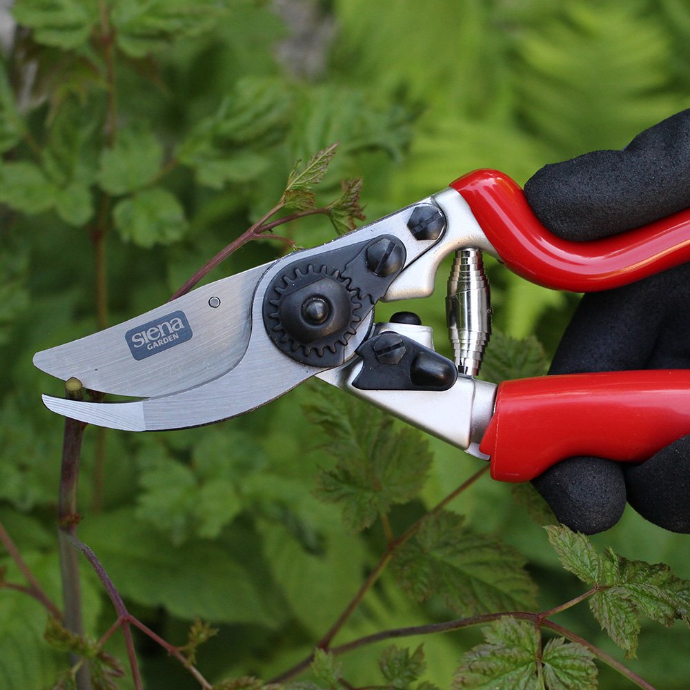 Siena Garden 691518 Premium Bypass à effiler de 7 RG