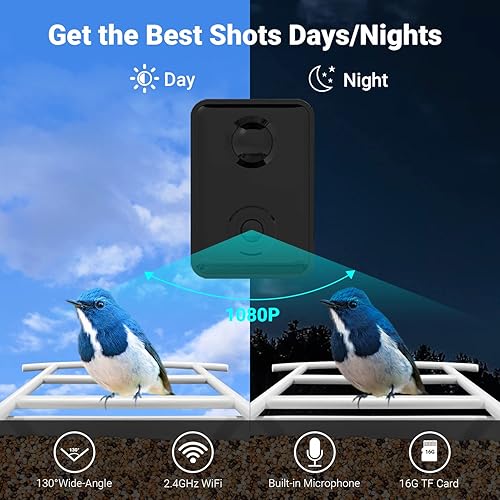 Miniatura 5 de Geeon Alimentador inteligente para pájaros con cámara de observación alimentada por energía solar captura automática control de aplicación regalo